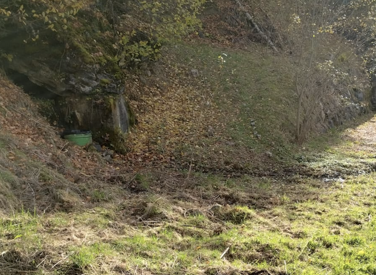 Part de la parcel·la on s’aixecarà el minibosc urbà.