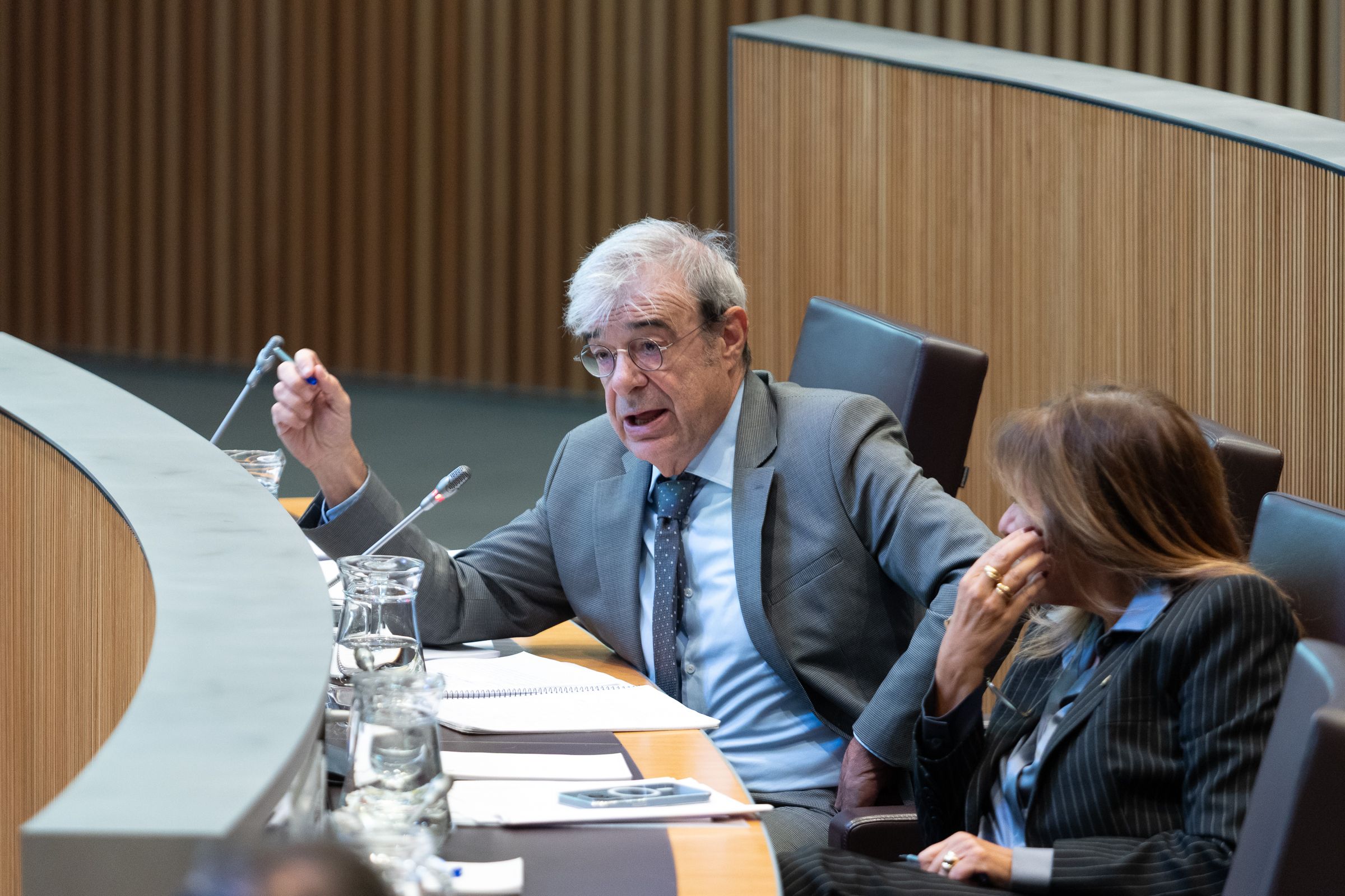 Ladislau Baró durant una intervenció al Consell General.