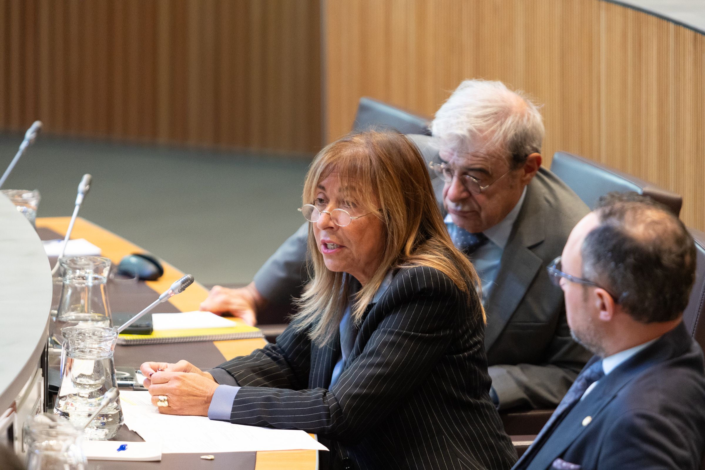 Conxita Marsol, parlant al ple.