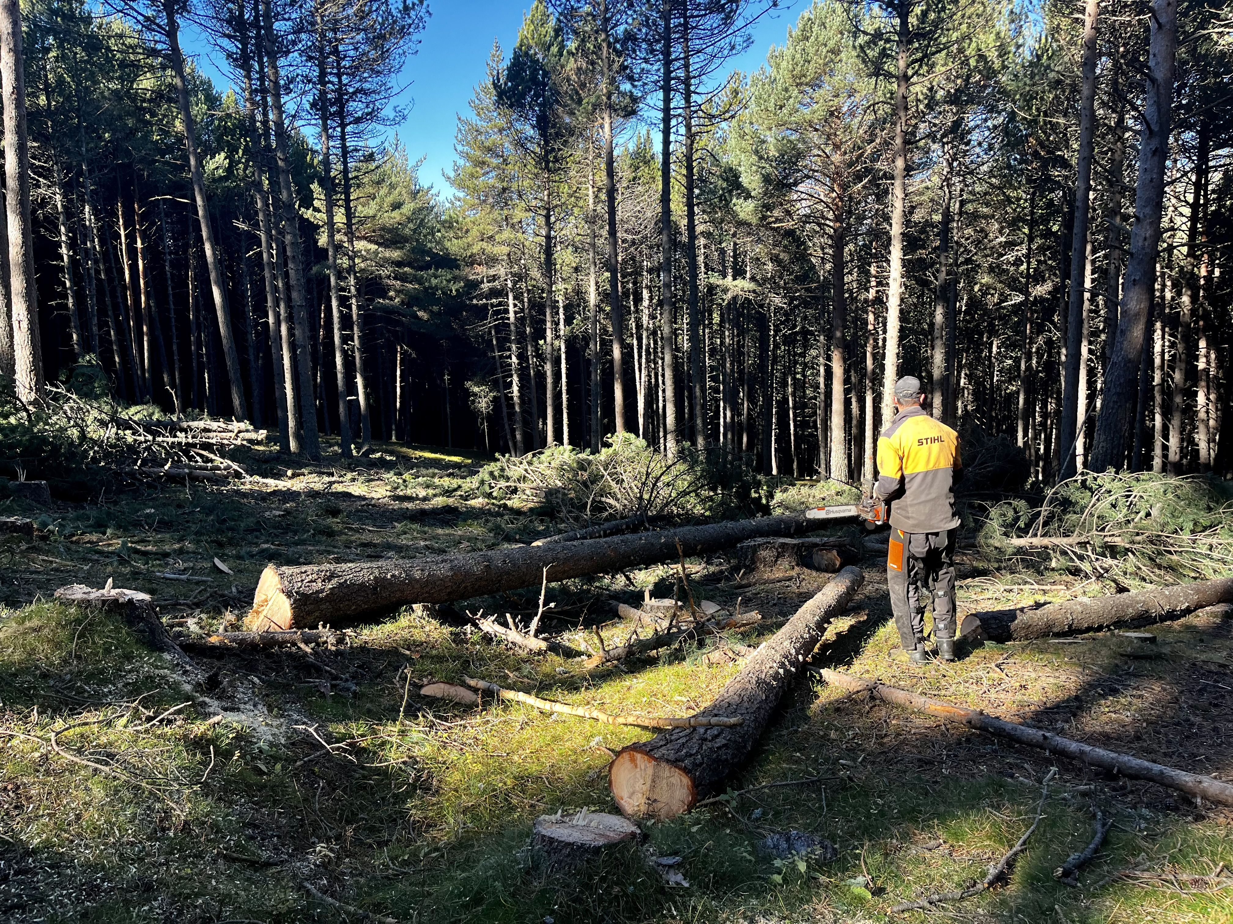 Treballs de recuperació de la pastura als Hortons d’Anyós. Treballs de recuperació de la pastura als Hortons d’Anyós.