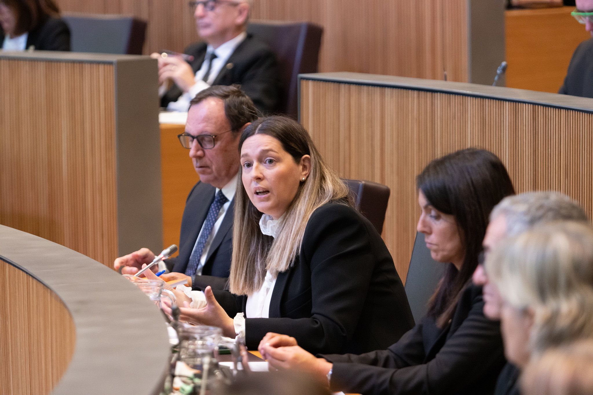 Maria Martisella durant una sessió de Consell General. Maria Martisella durant una sessió de Consell General.