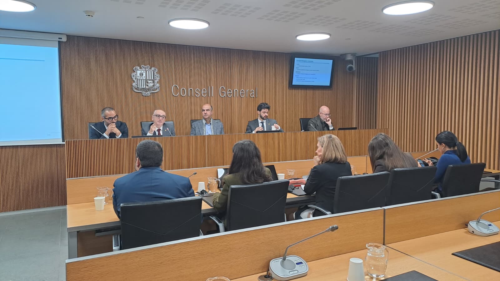 Lladós ha comparegut davant la comissió de Finances del Consell General.