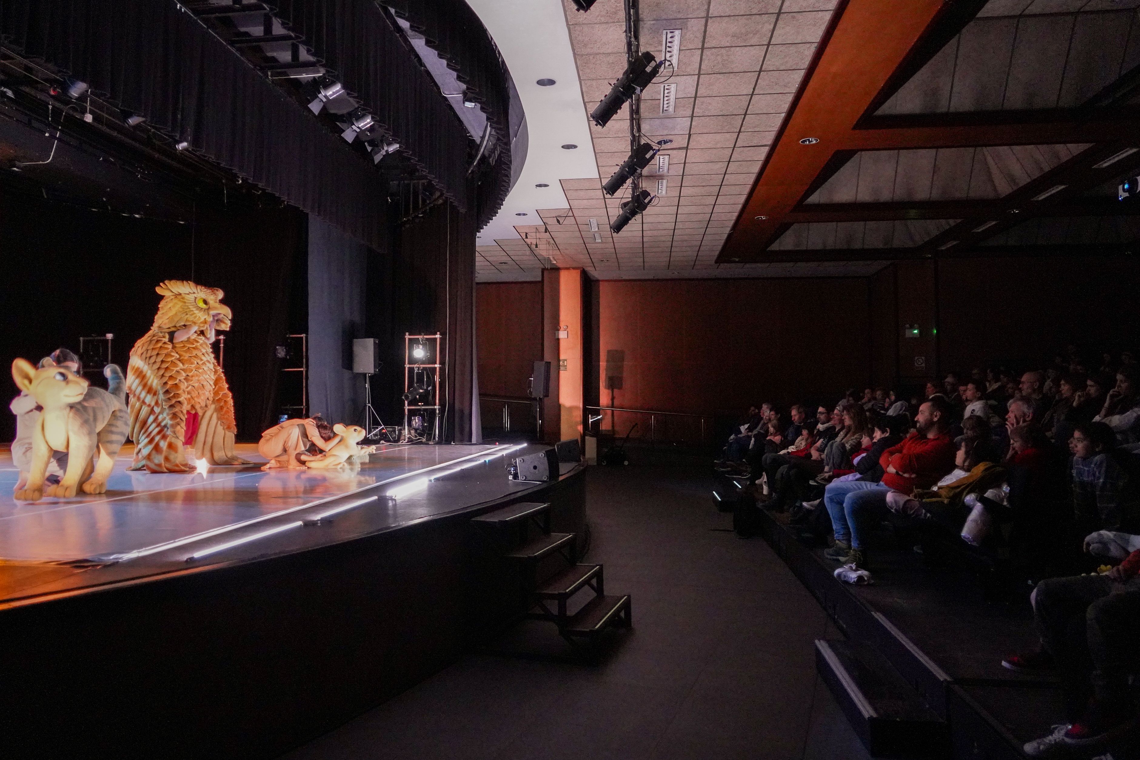 20251108 Cloenda Ànima   La gata que volia canviar la història @ComuEncamp (34)