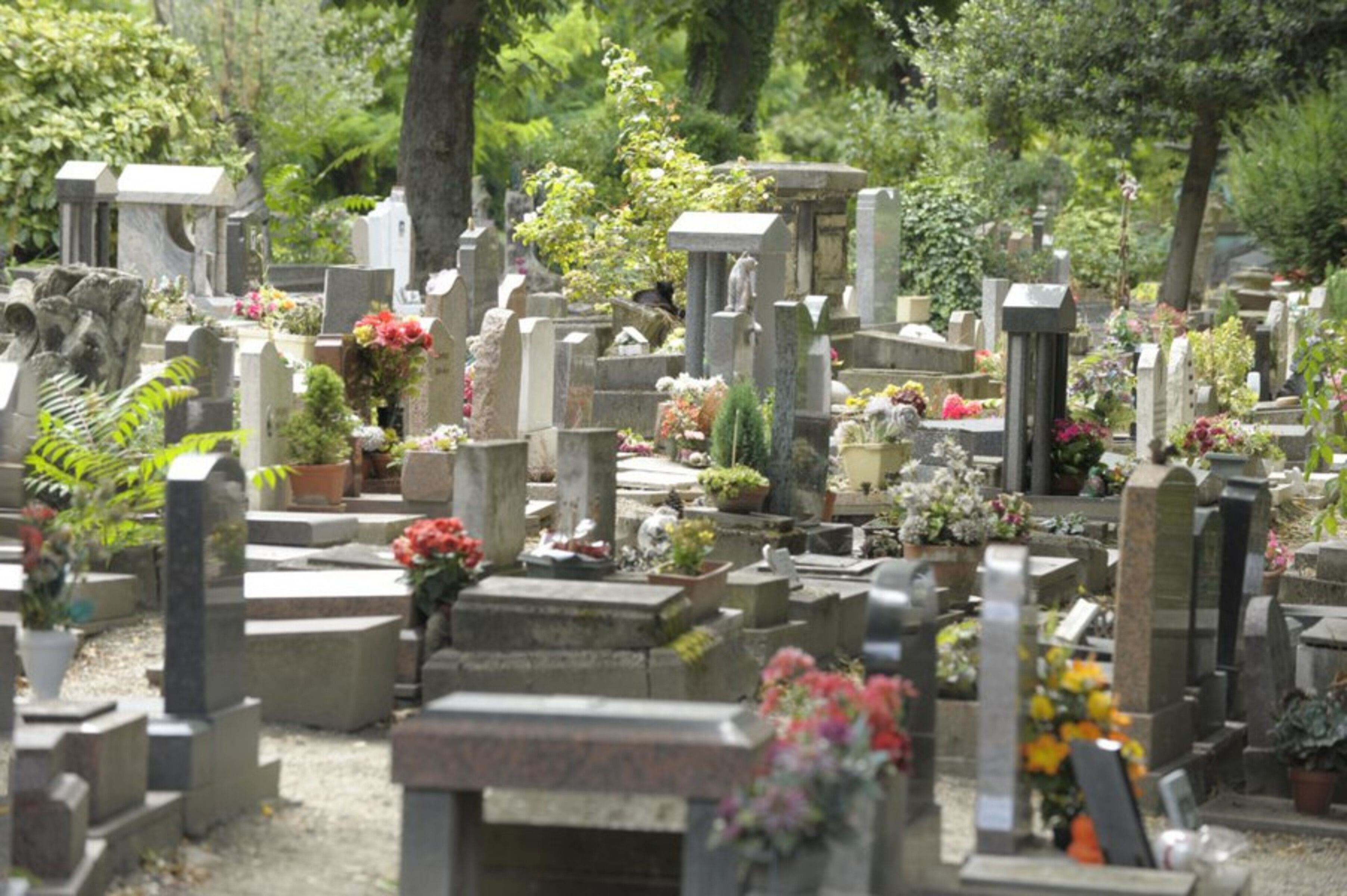 Una imatge del cementiri de gossos i altres animals domèstics d'Asnières-sur-Seine.