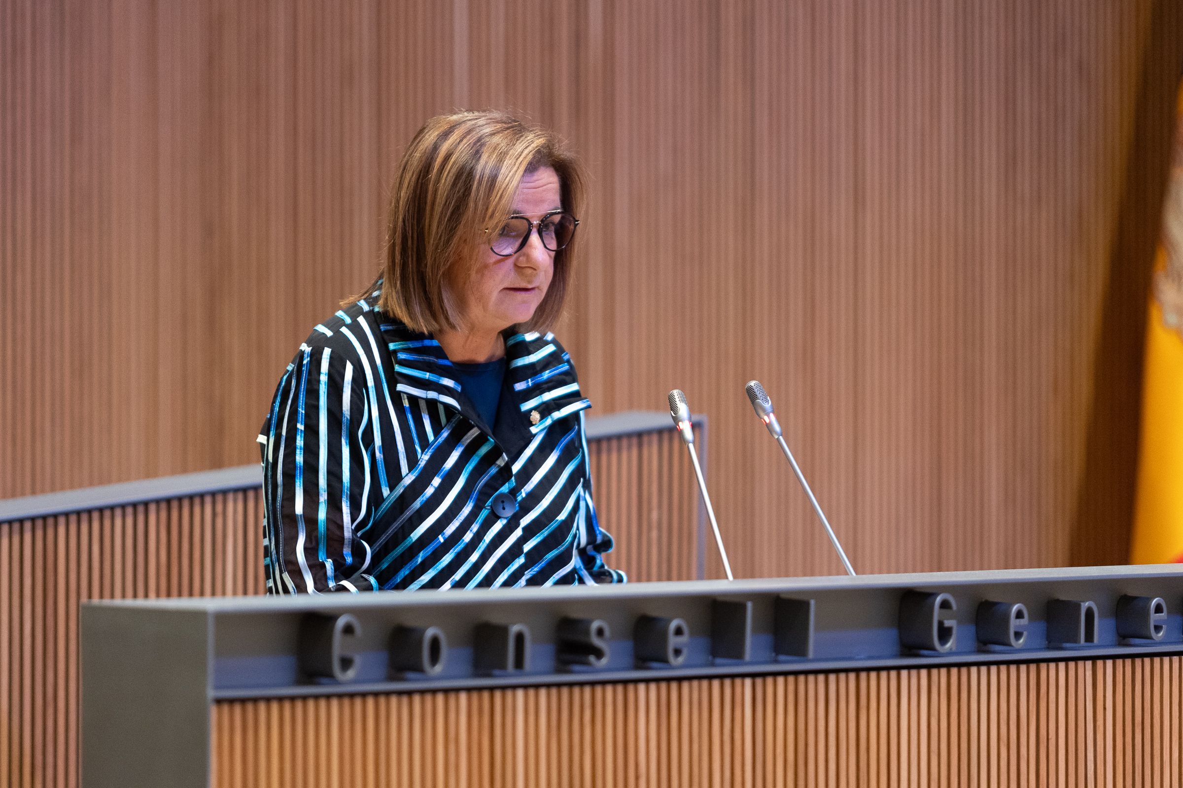 Trini Marín, intervenint des del faristol.