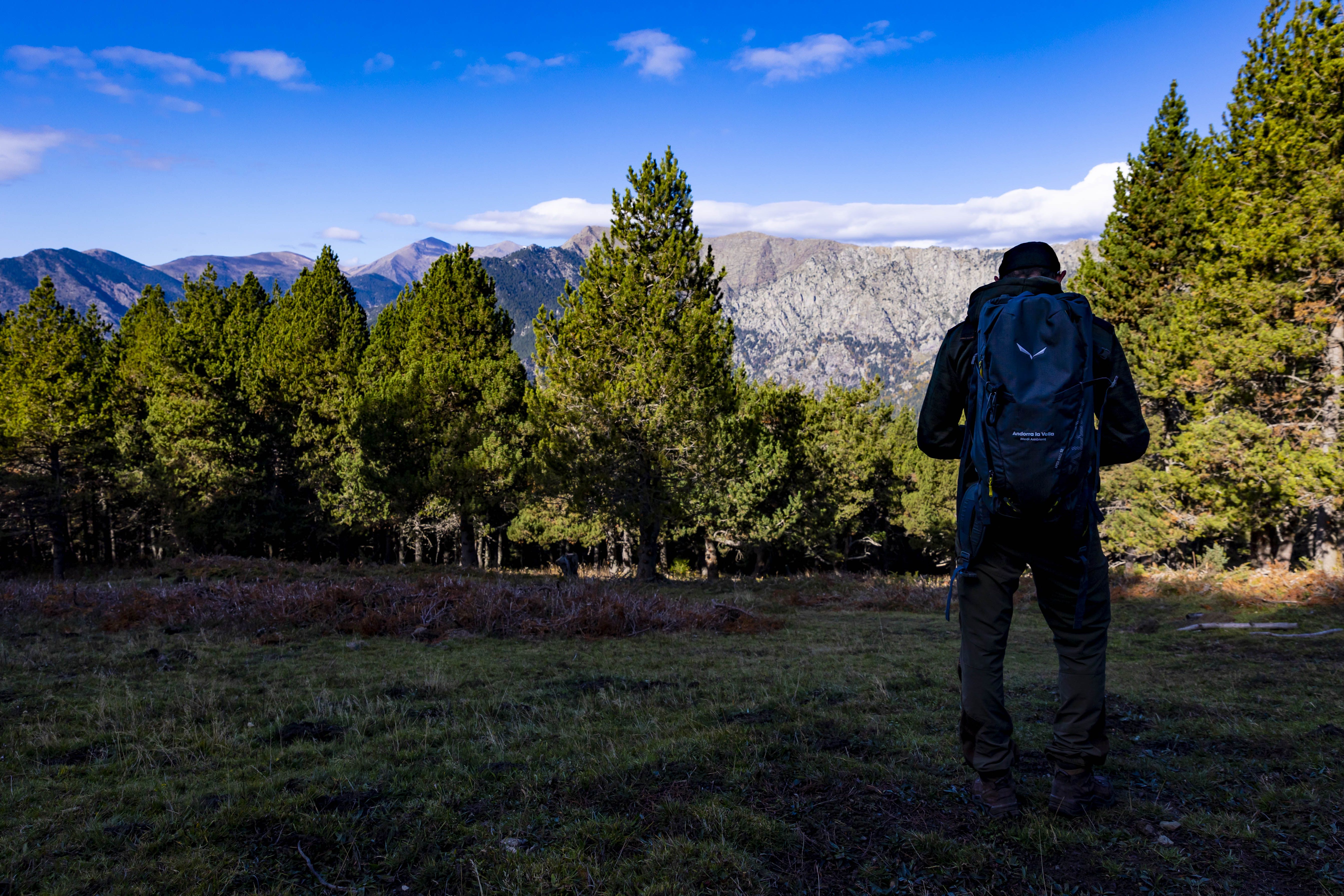 La capital inicia el procés per habilitar un nou tallafoc al bosc de Solobre per prevenir incendis. La capital inicia el procés per habilitar un nou tallafoc al bosc de Solobre per prevenir incendis.