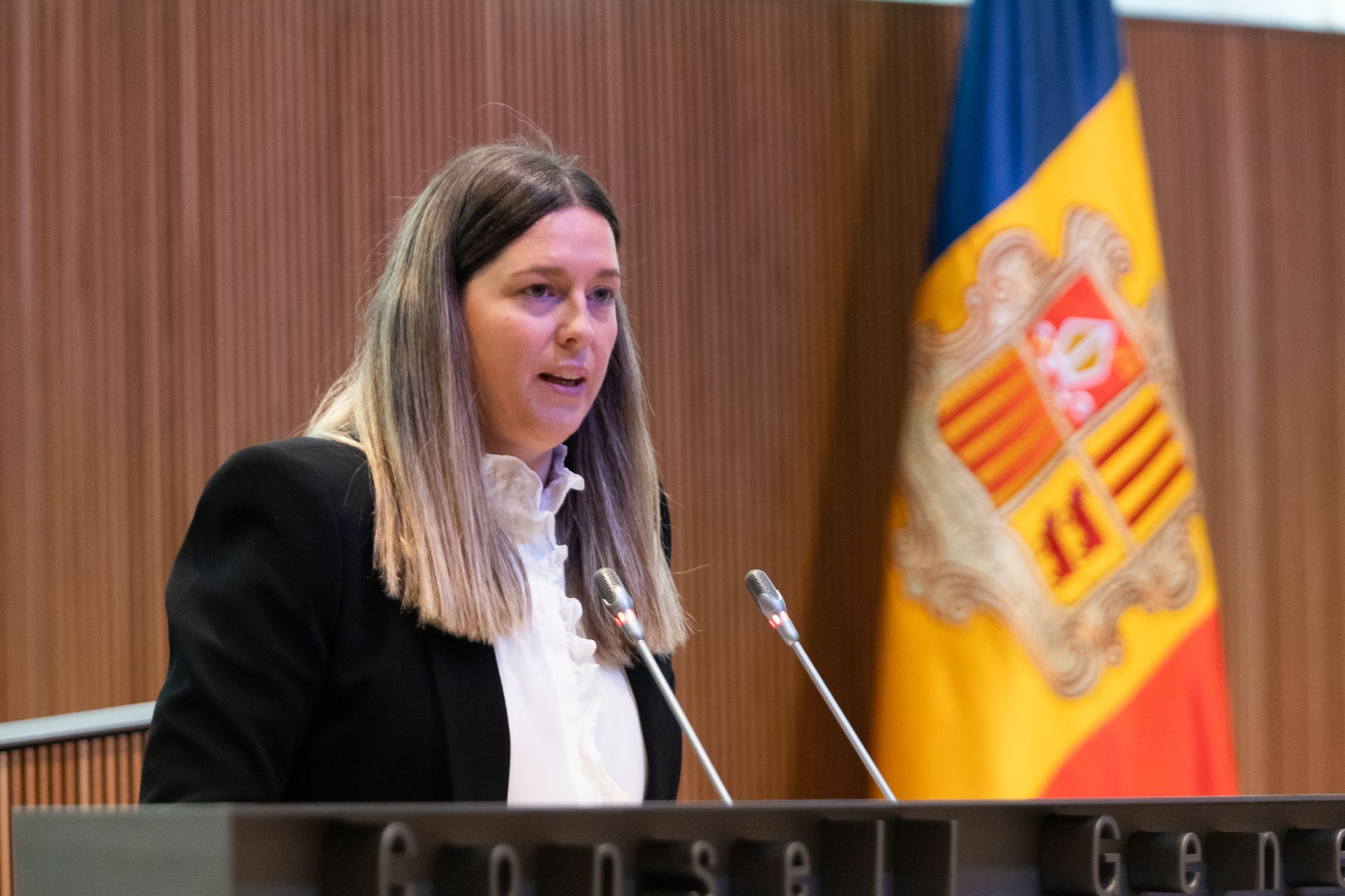 Maria Martisella adreçant-se al plenari del Consell General.