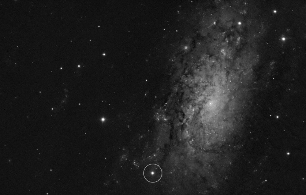 Ubicació de SN 2024ggi en un braç exterior de la galàxia NGC 3621 vista per l'instrument FORS2 del VLT - Crèdit: ESO/Y. Yang et al. Ubicació de SN 2024ggi en un braç exterior de la galàxia NGC 3621 vista per l'instrument FORS2 del VLT - Crèdit: ESO/Y. Yang et al.