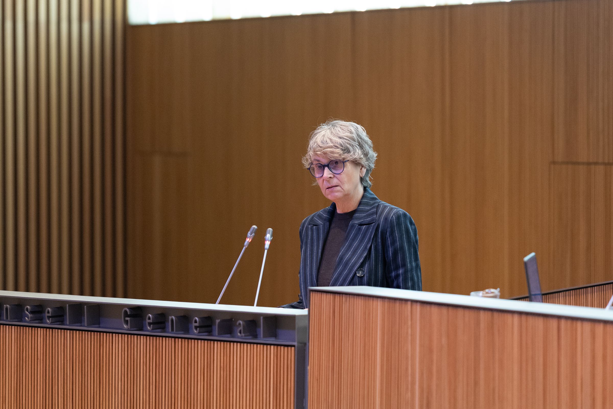 Susanna Vela, parlant al ple.