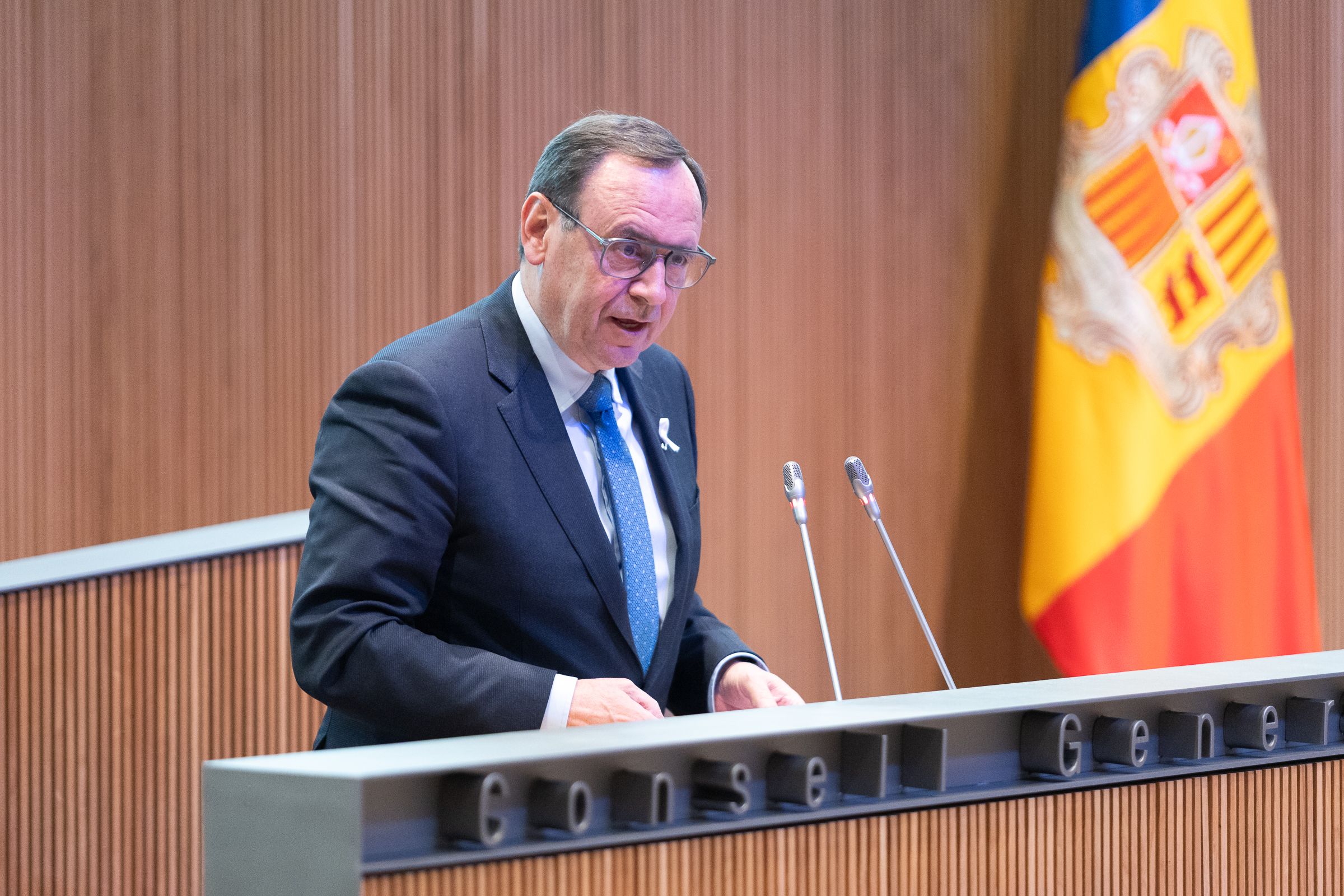 El president del grup demòcrata, Jordi Jordana.