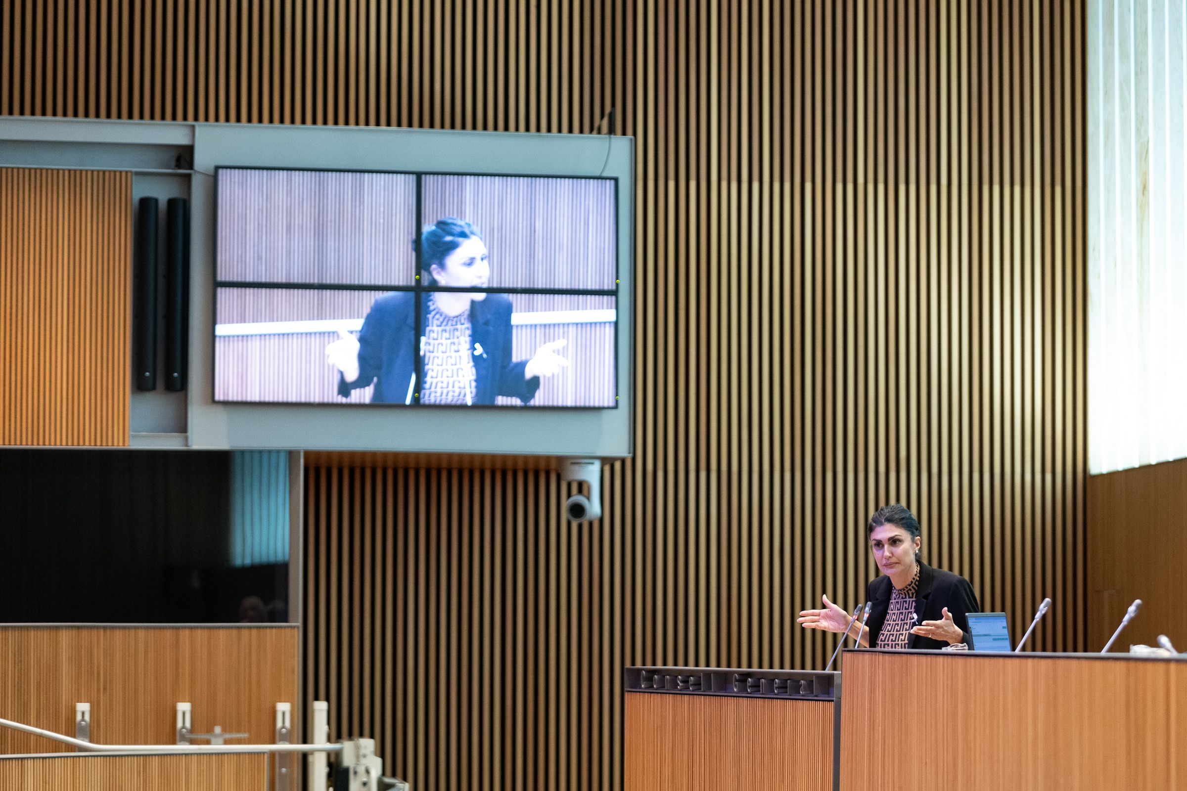 Carine Montaner, durant la seva intervenció.