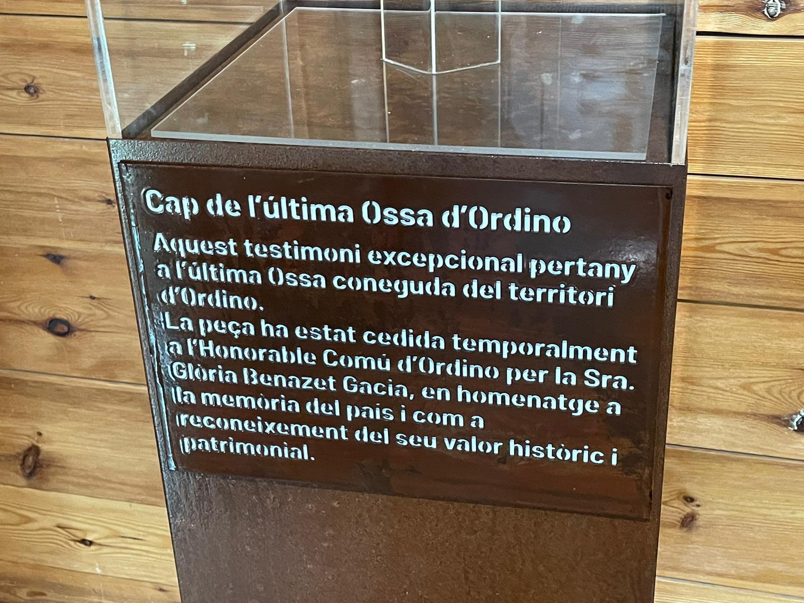 WhatsApp Image 2025 11 27 at 15.25.58