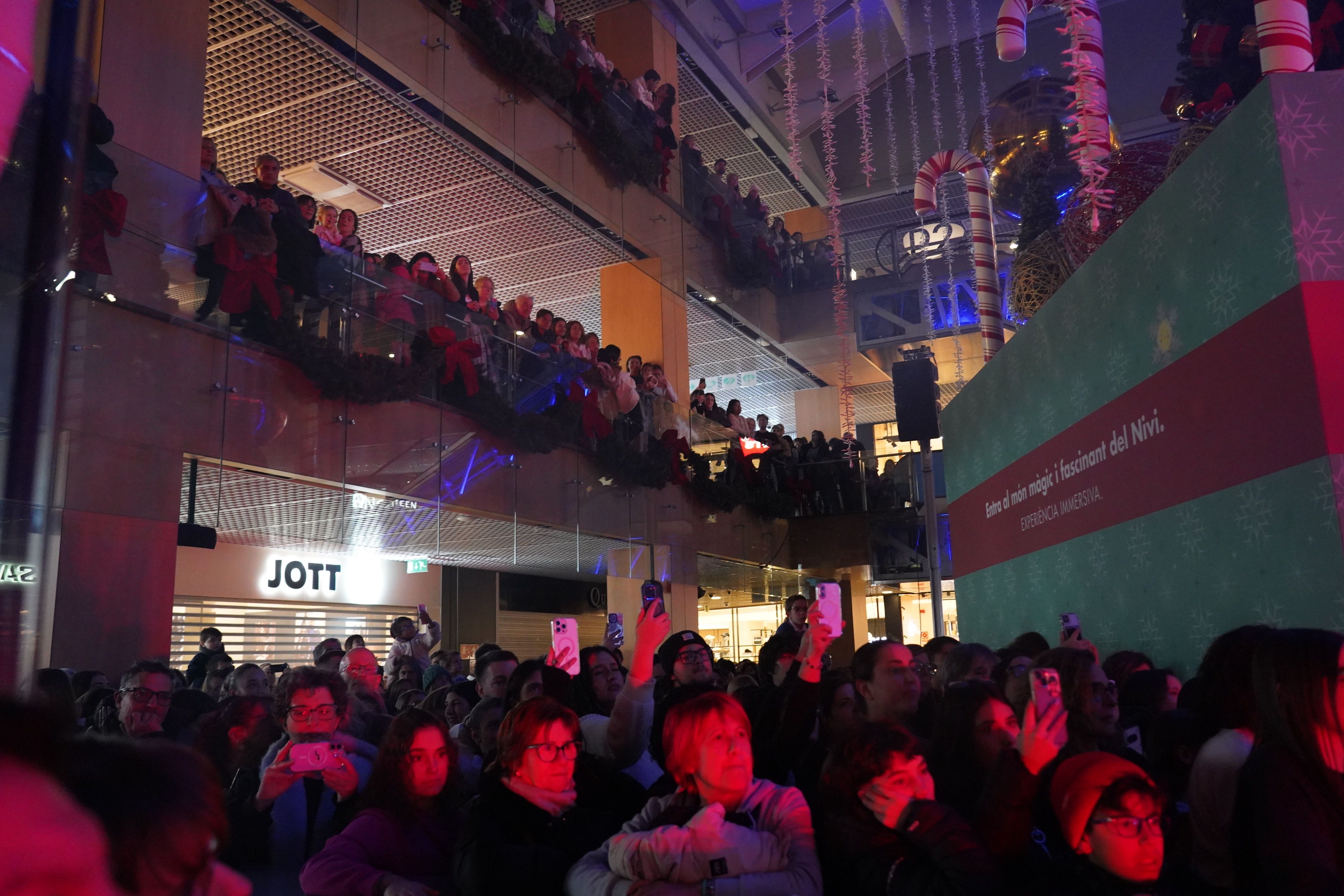 El públic durant el concert.