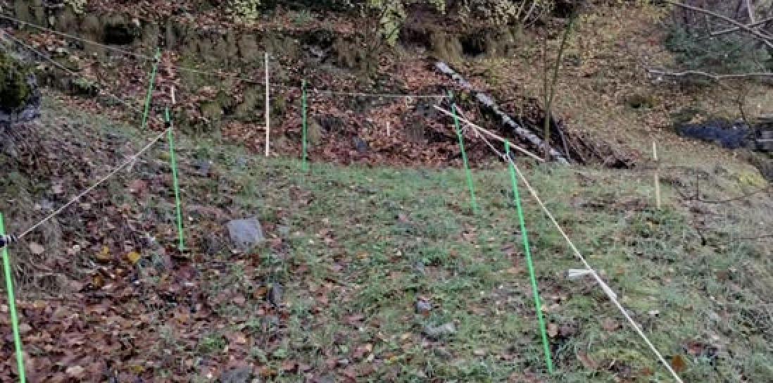 El petit pulmó verd urbà d’Encamp ja està plantat.