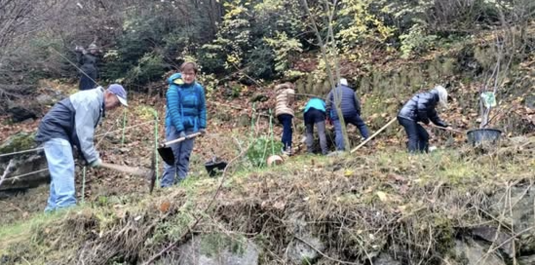 Captura de pantalla 2025 11 29 a les 20.36.57