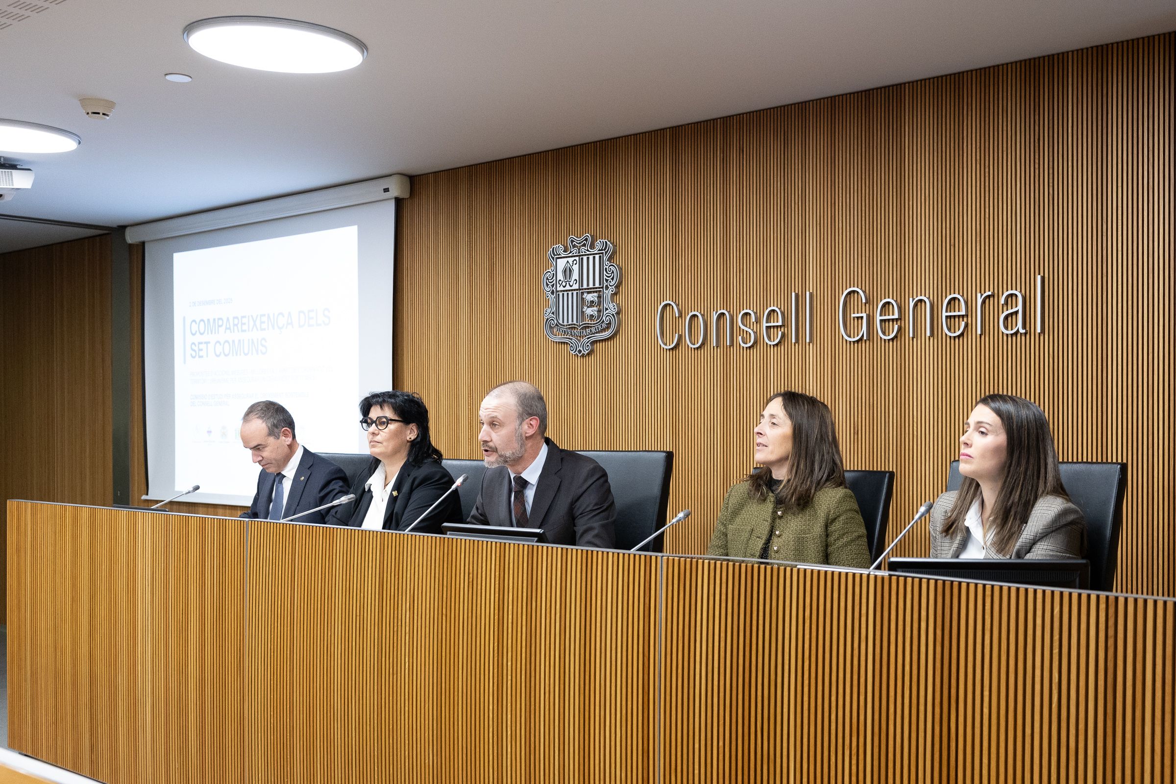 Els cònsols han comparegut al Consell General.