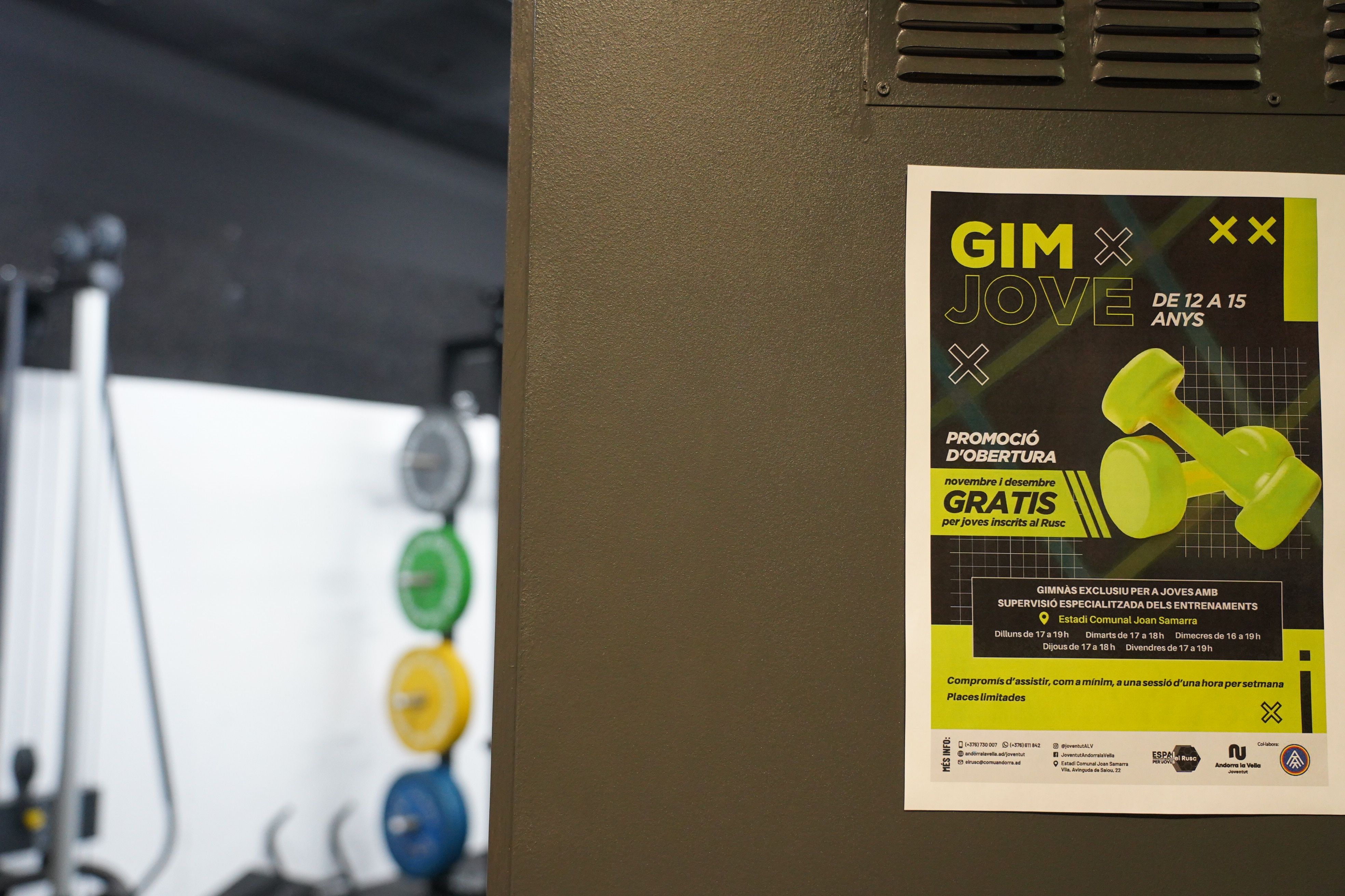 Gim Jove, un gimnàs exclusiu per a joves amb supervisió especialitzada. Gim Jove, un gimnàs exclusiu per a joves amb supervisió especialitzada.