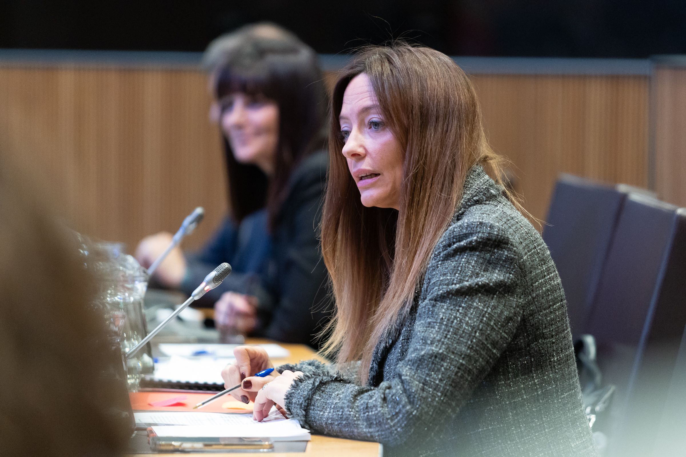 La ministra de Salut, Helena Mas, parlant al ple.