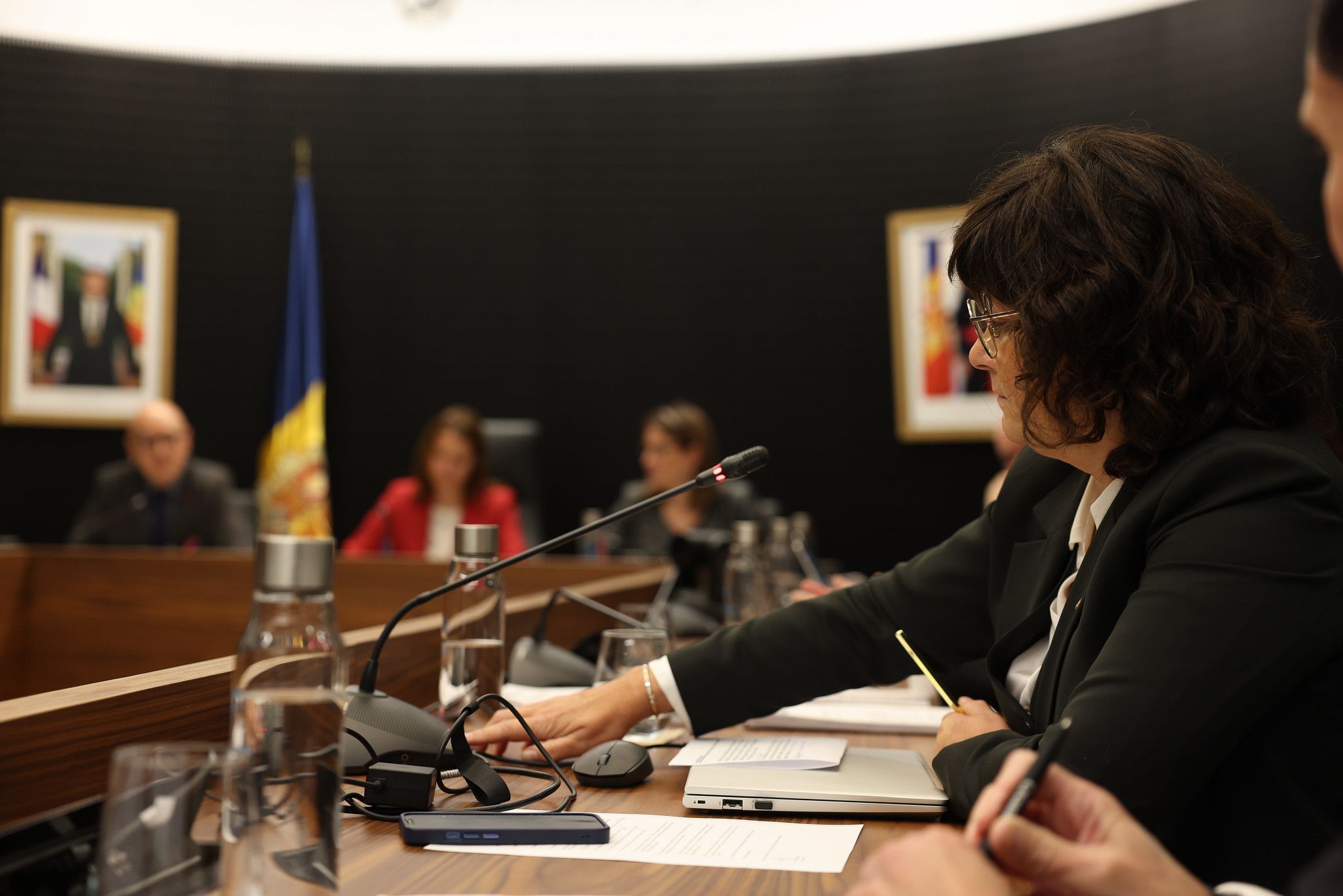 La demòcrata Gemma Bofarull intervé al comú amb Dolsa i Gili al fons.