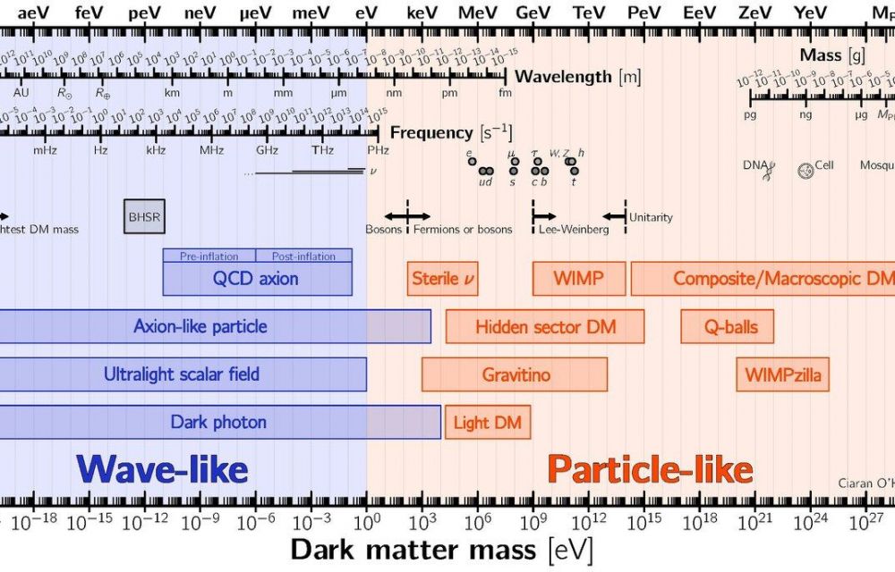 Els diferents candidats a matèria fosca segons la seva massa comparats a altres referents. Crèdit: Ciaran O'Hare Els diferents candidats a matèria fosca segons la seva massa comparats a altres referents. Crèdit: Ciaran O'Hare