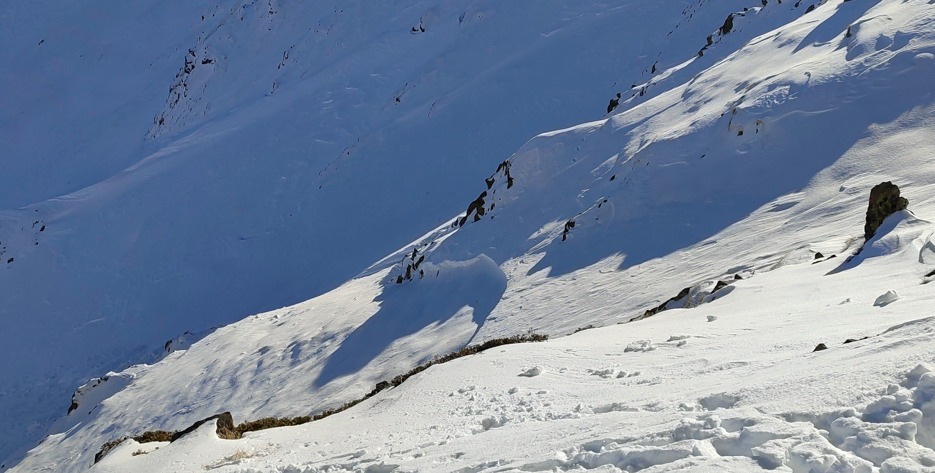 Zona on hi va haver l'allau.