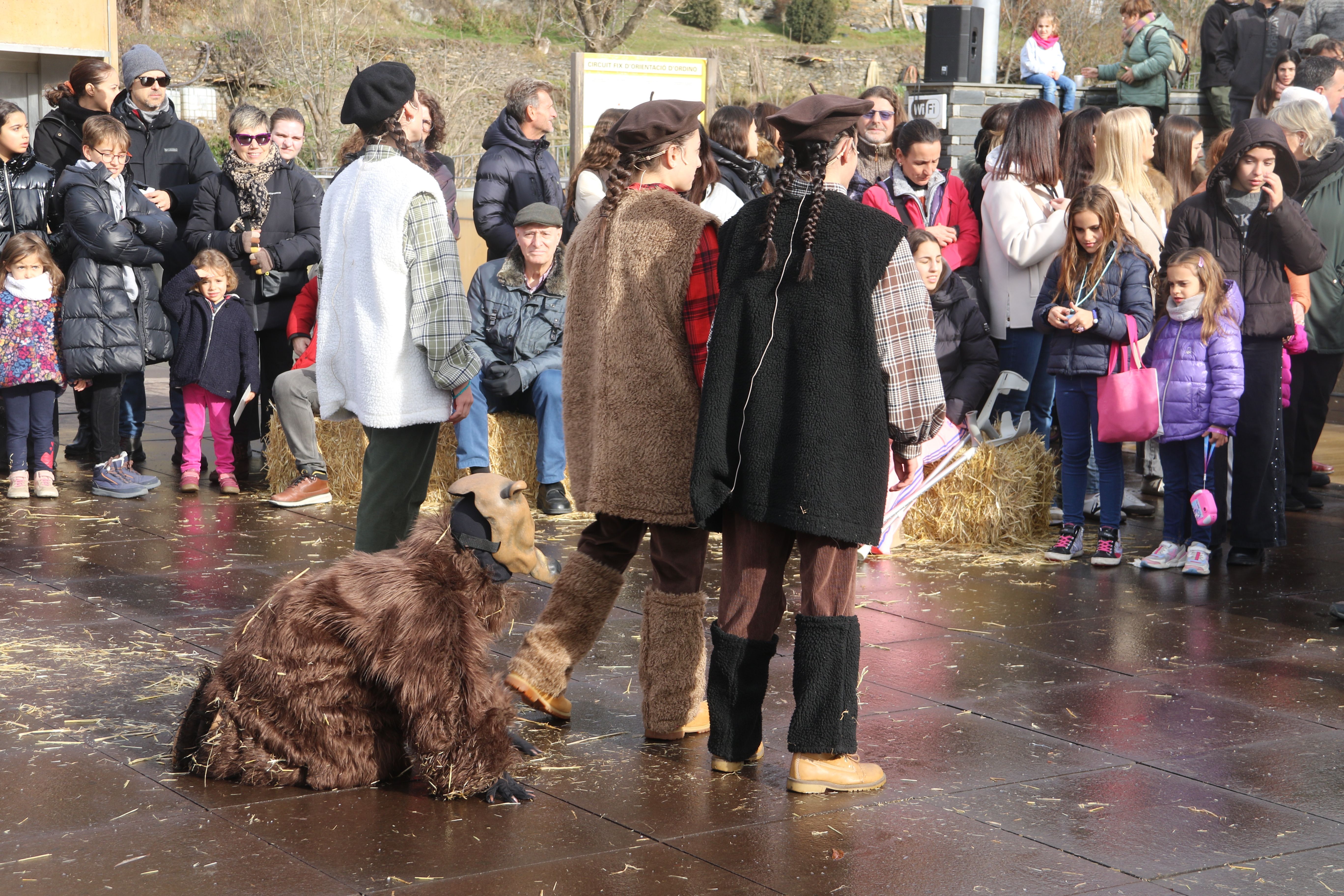 L'osseta ensumant els dallaires joves. 