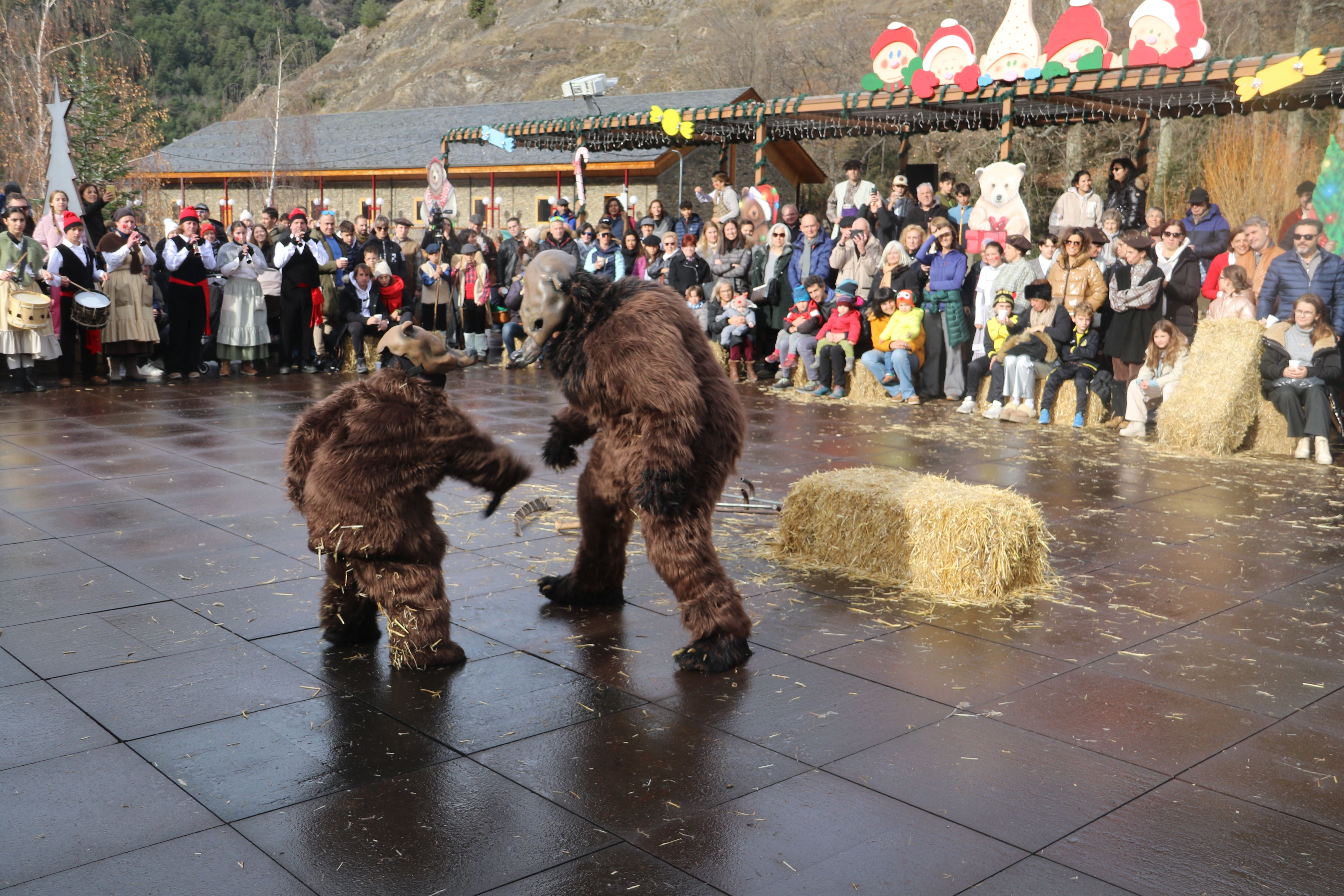 L'ossa instruint a l'osseta. 
