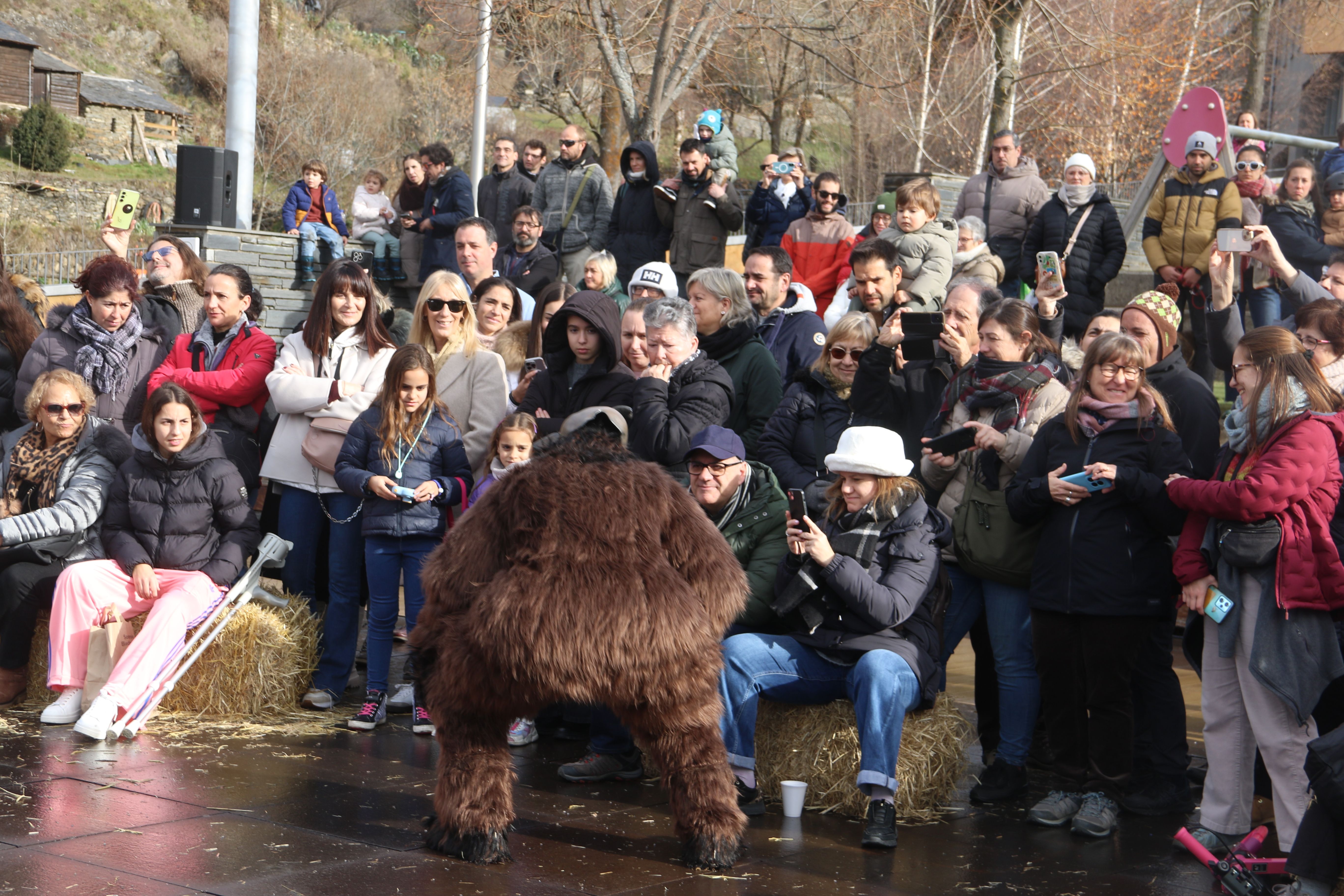 Primera aparició de l'ossa.
