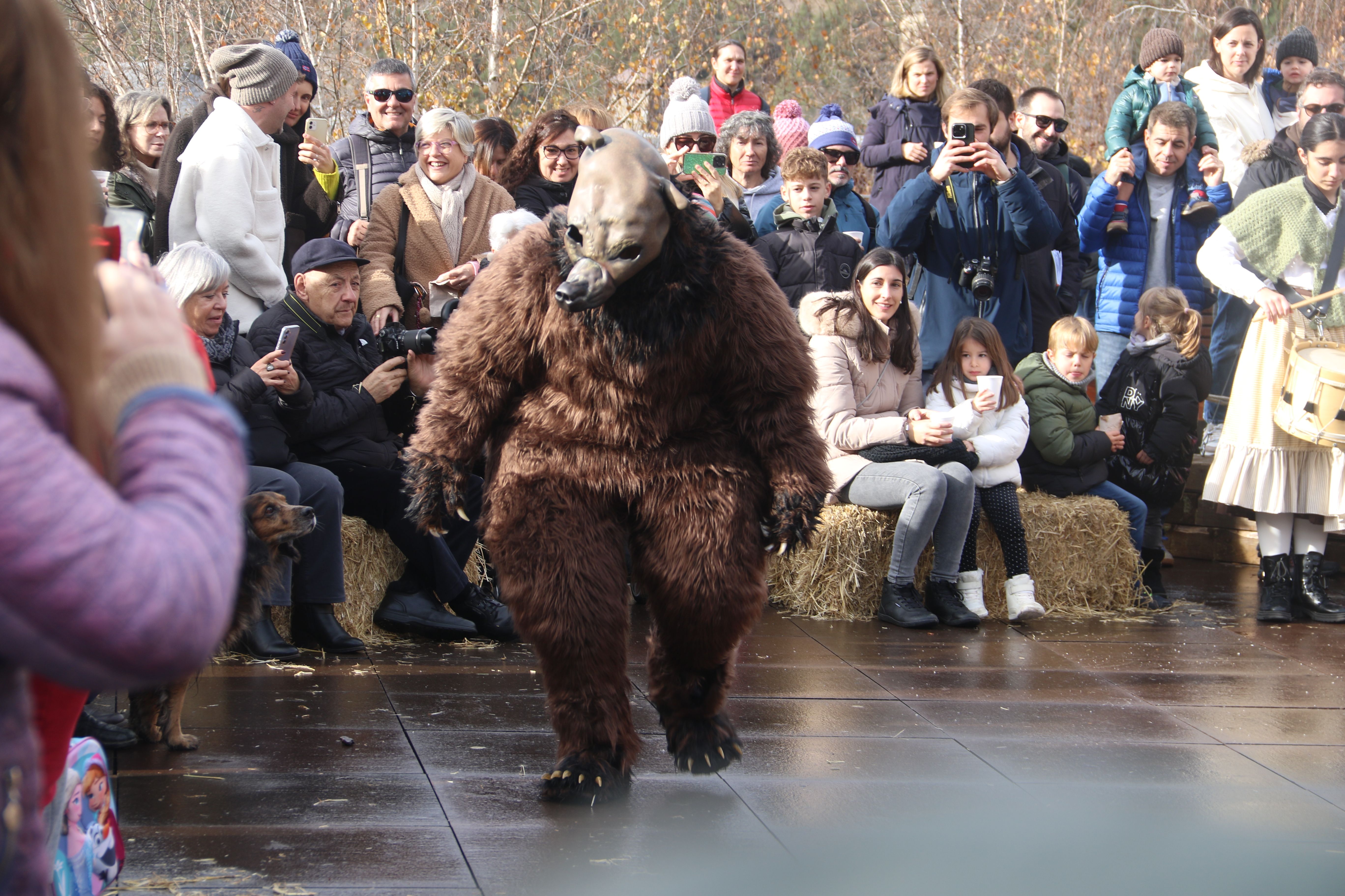 Primera aparició de l'ossa.