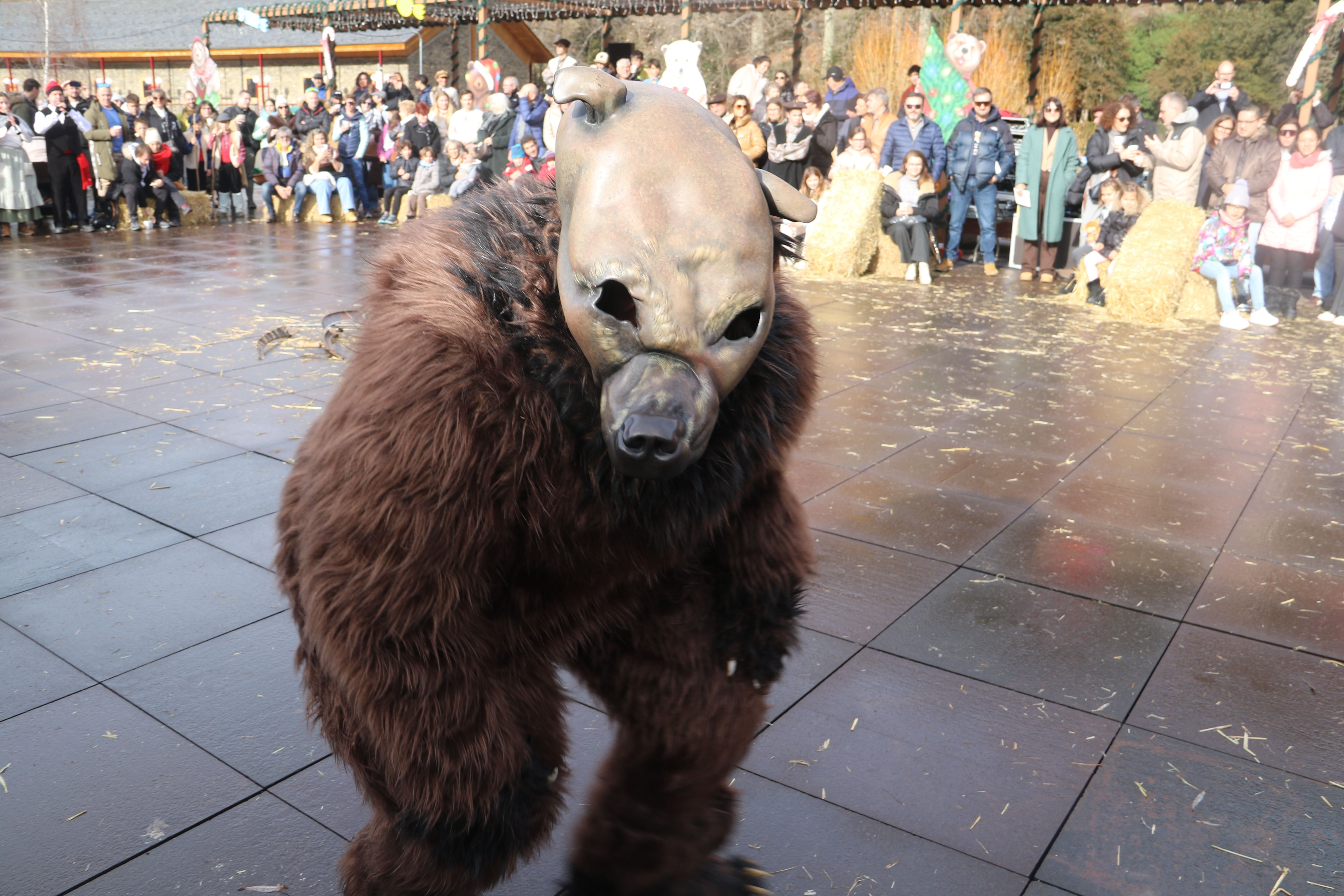 Primera aparició de l'ossa.