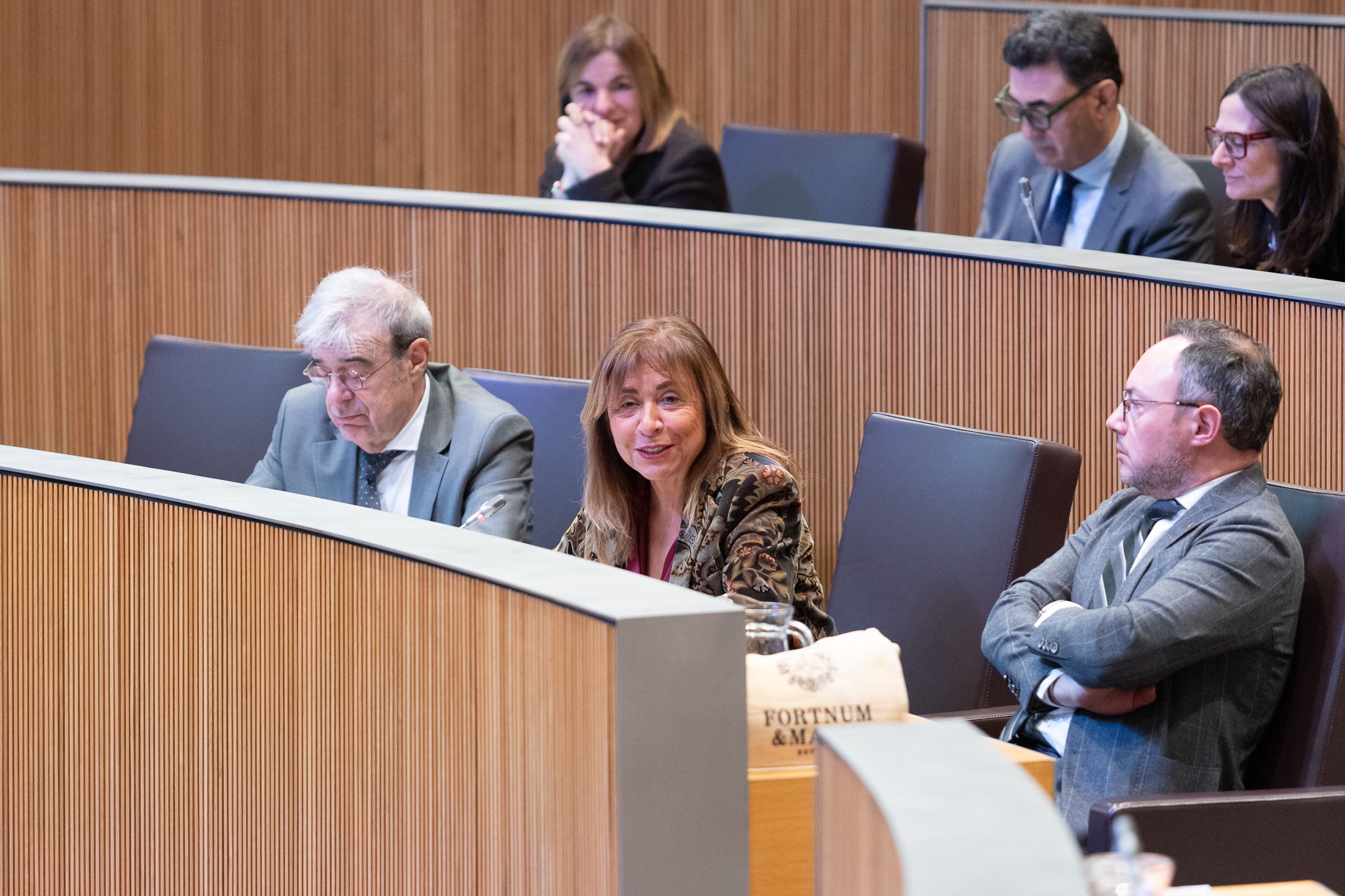 Marsol, aquest dijous al ple del Consell. Marsol, aquest dijous al ple del Consell.