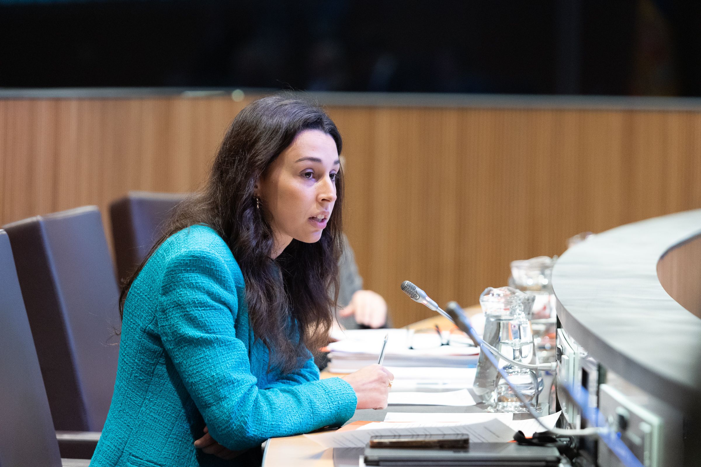 La consellera general del PS, Laia Moliné. La consellera general del PS, Laia Moliné.