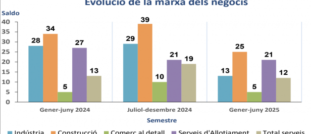 Evolució de la marxa dels negocis. Evolució de la marxa dels negocis.