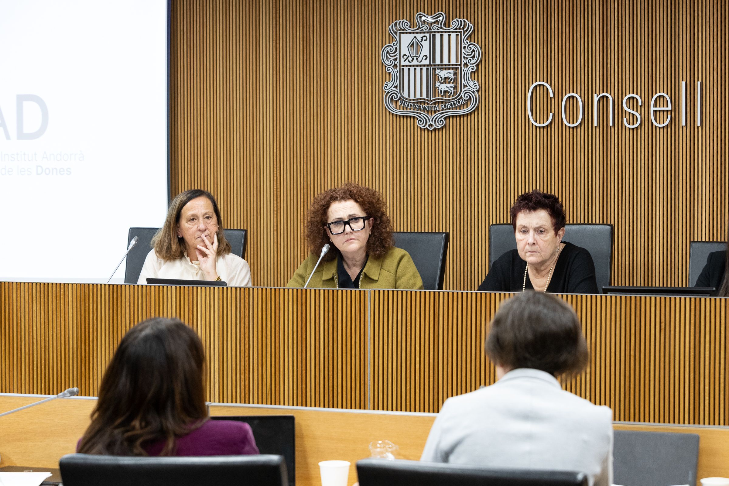 Compareixença de la secretària general de l’Institut Andorrà de les Dones, Judith Pallarés, per presentar l’activitat del 2025.