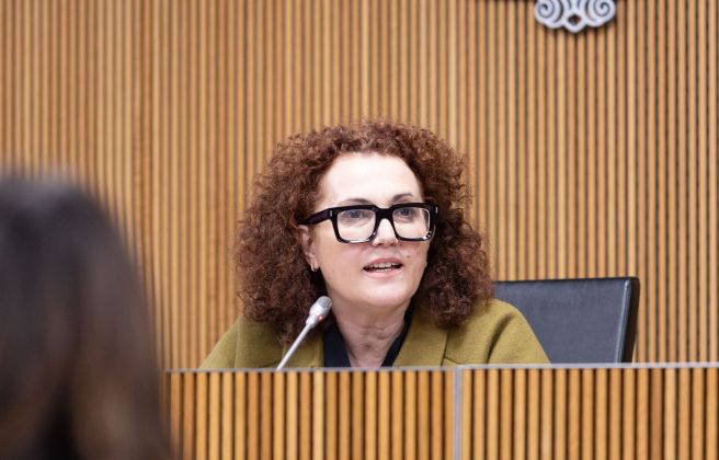 La secretària general de l’IAD, Judith Pallarés, durant la presentació de l’activitat de l’IAD durant el 2025. La secretària general de l’IAD, Judith Pallarés, durant la presentació de l’activitat de l’IAD durant el 2025.