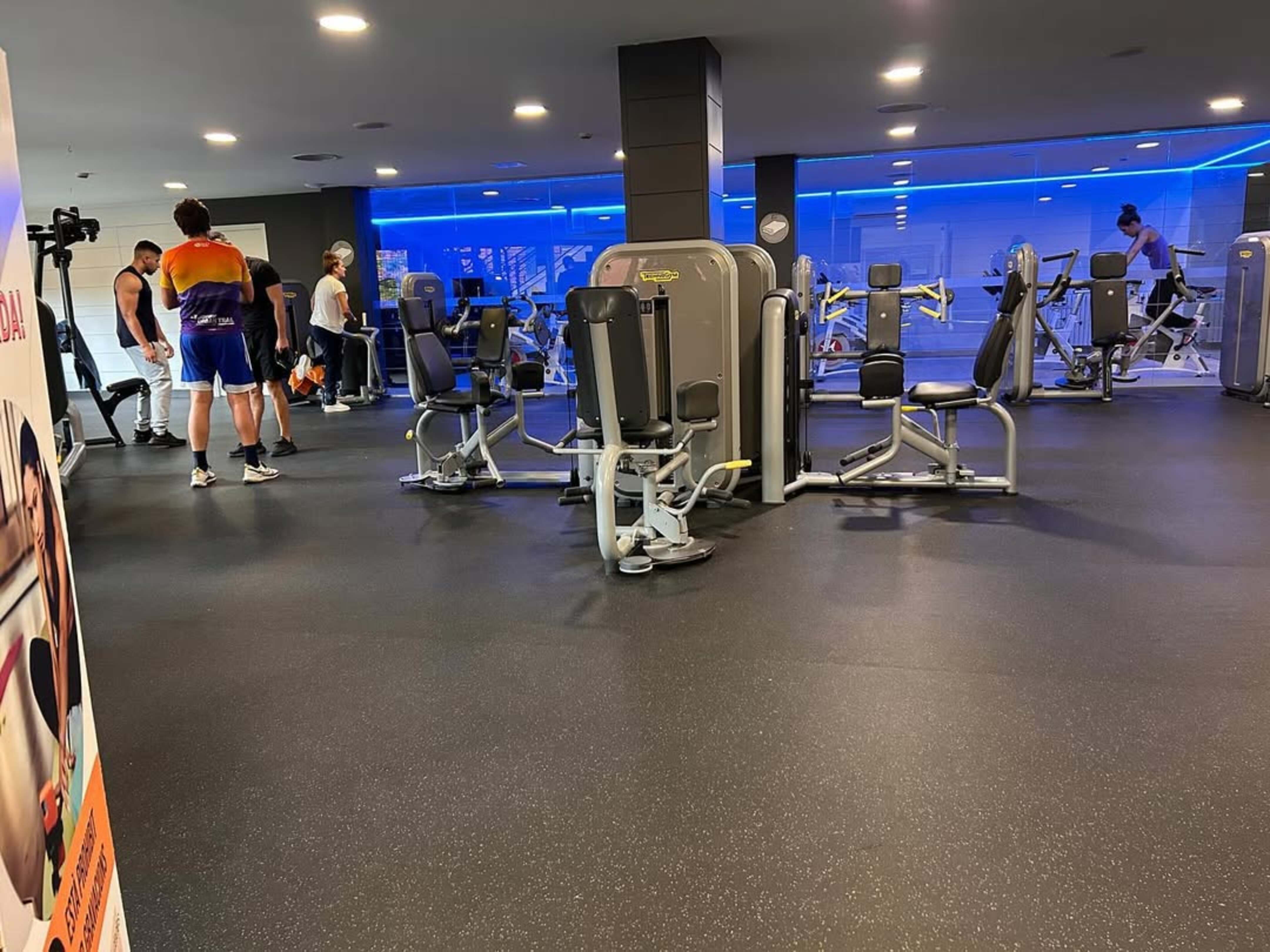 Una imatge de les instal·lacions dels Serradells.