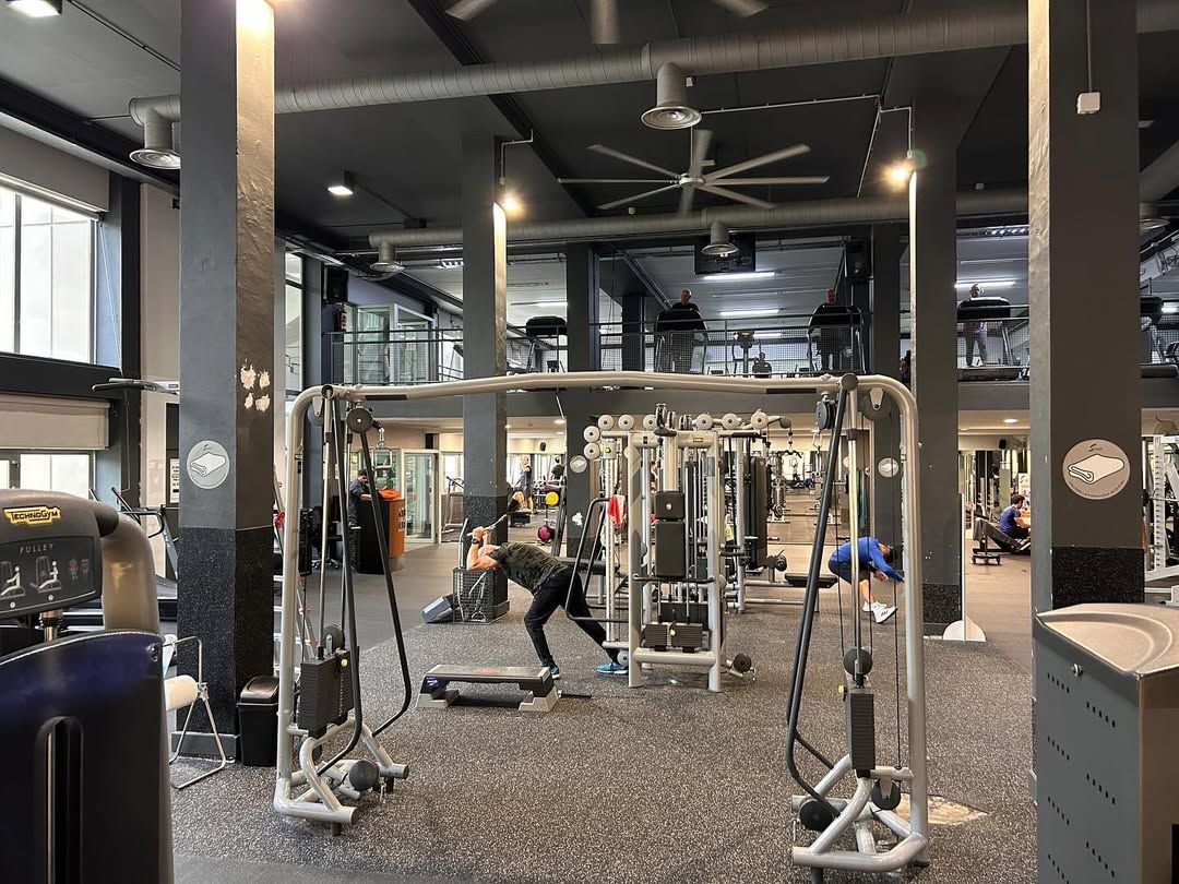 serradells serradells