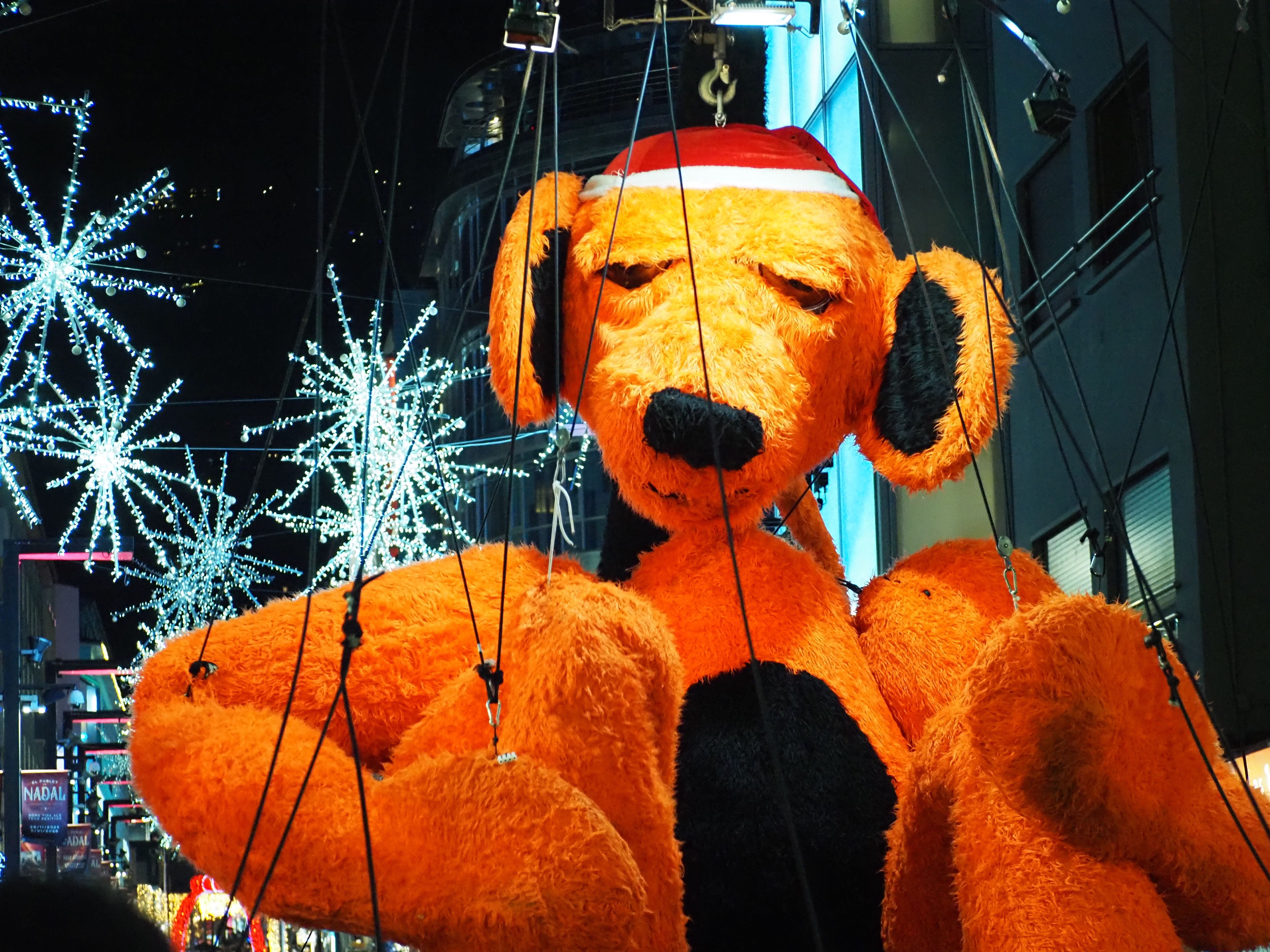 'Peluix' passejant per l'avinguda Meritxell.