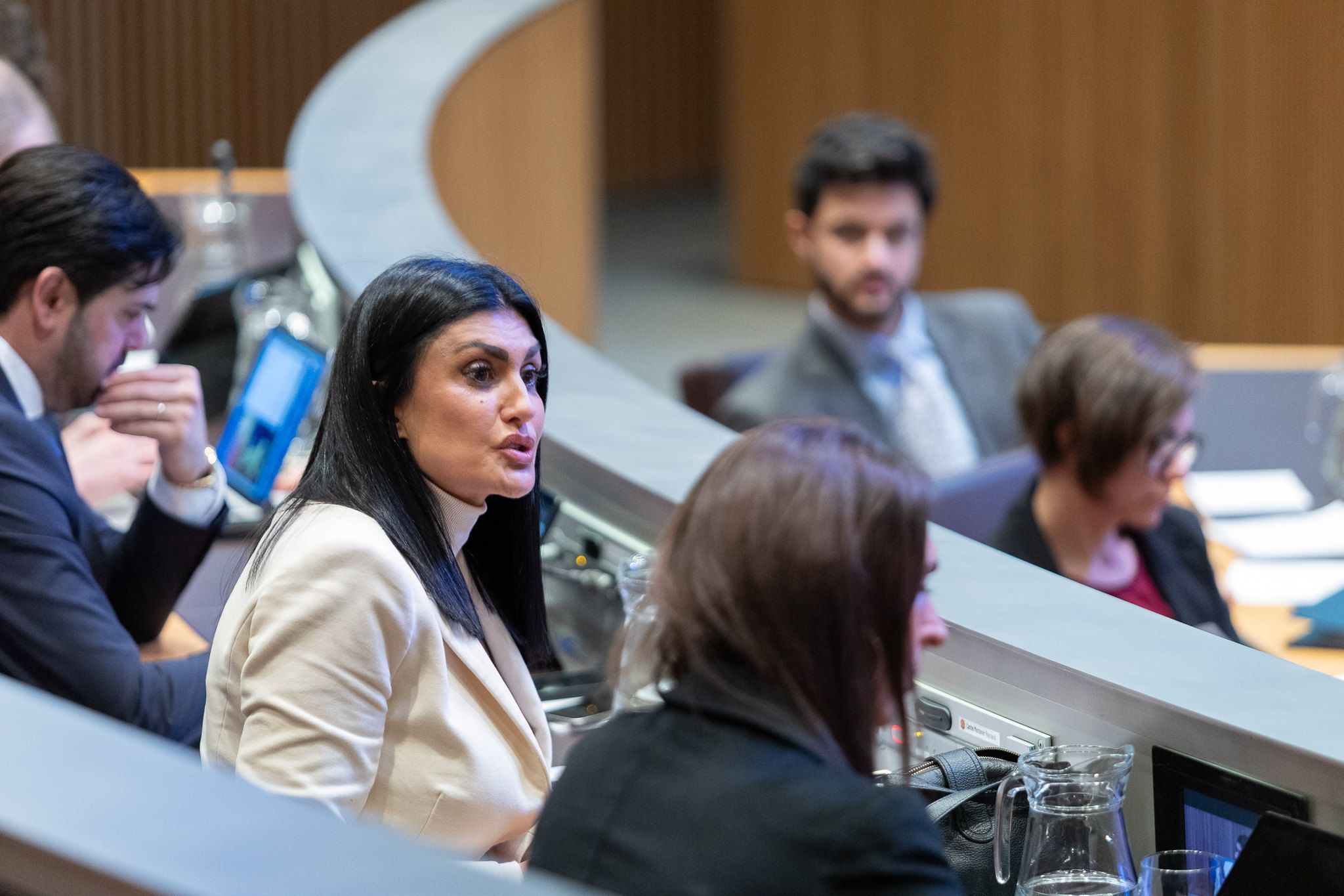 Montaner, durant una intervenció al ple del Consell General.