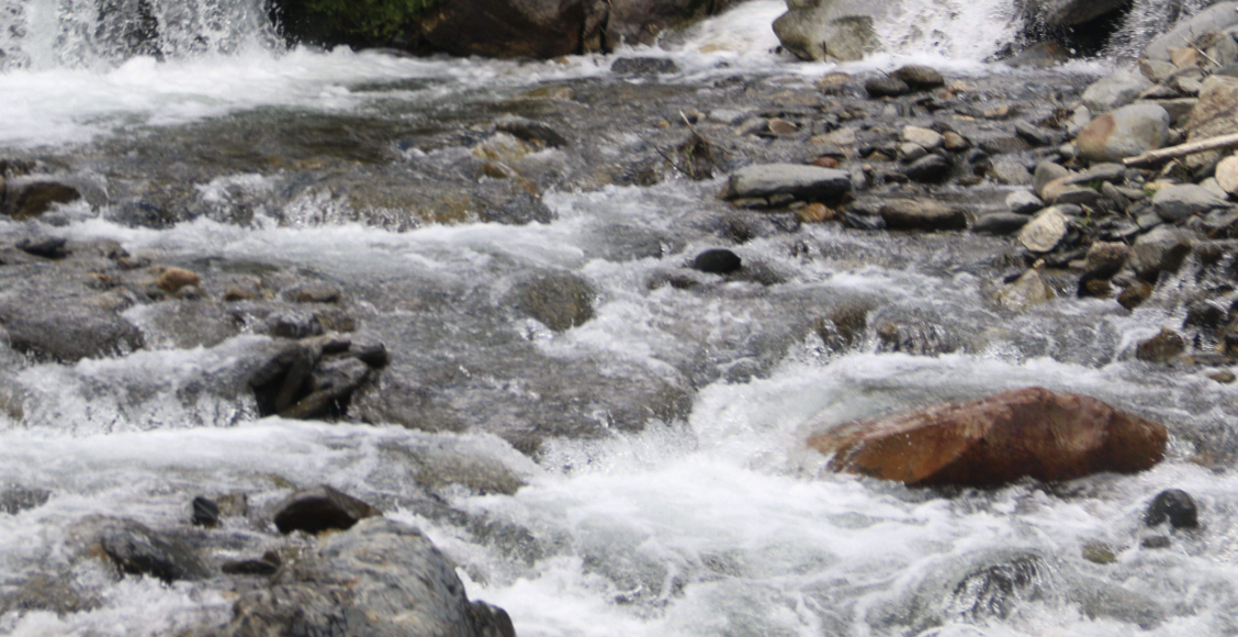 Imatge arxiu del riu.