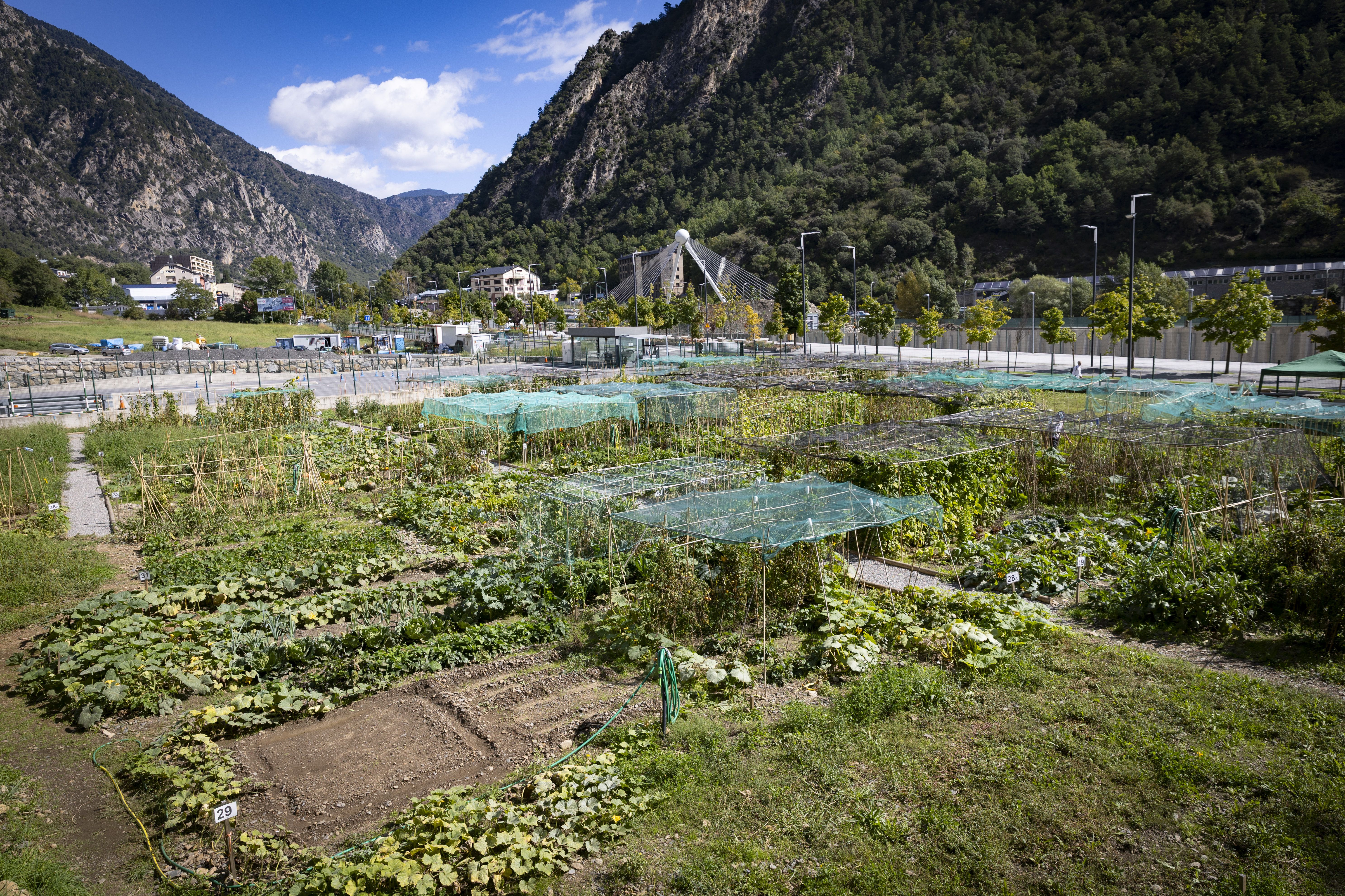 Els Horts Socials de la Margineda.