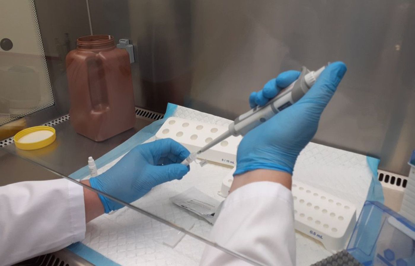 Un tècnic treballant al laboratori de salut pública.