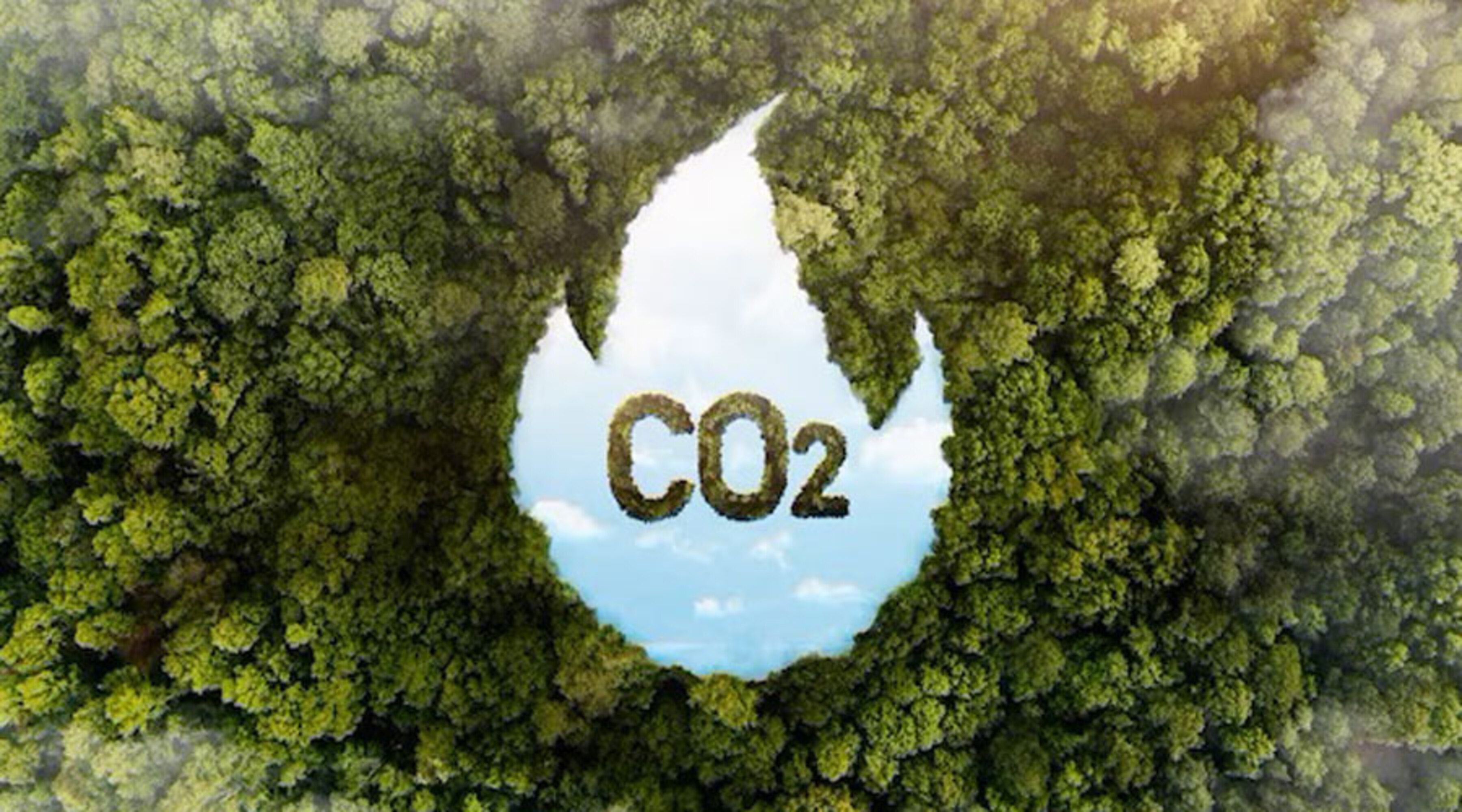 Reduir el carboni és un objectiu.