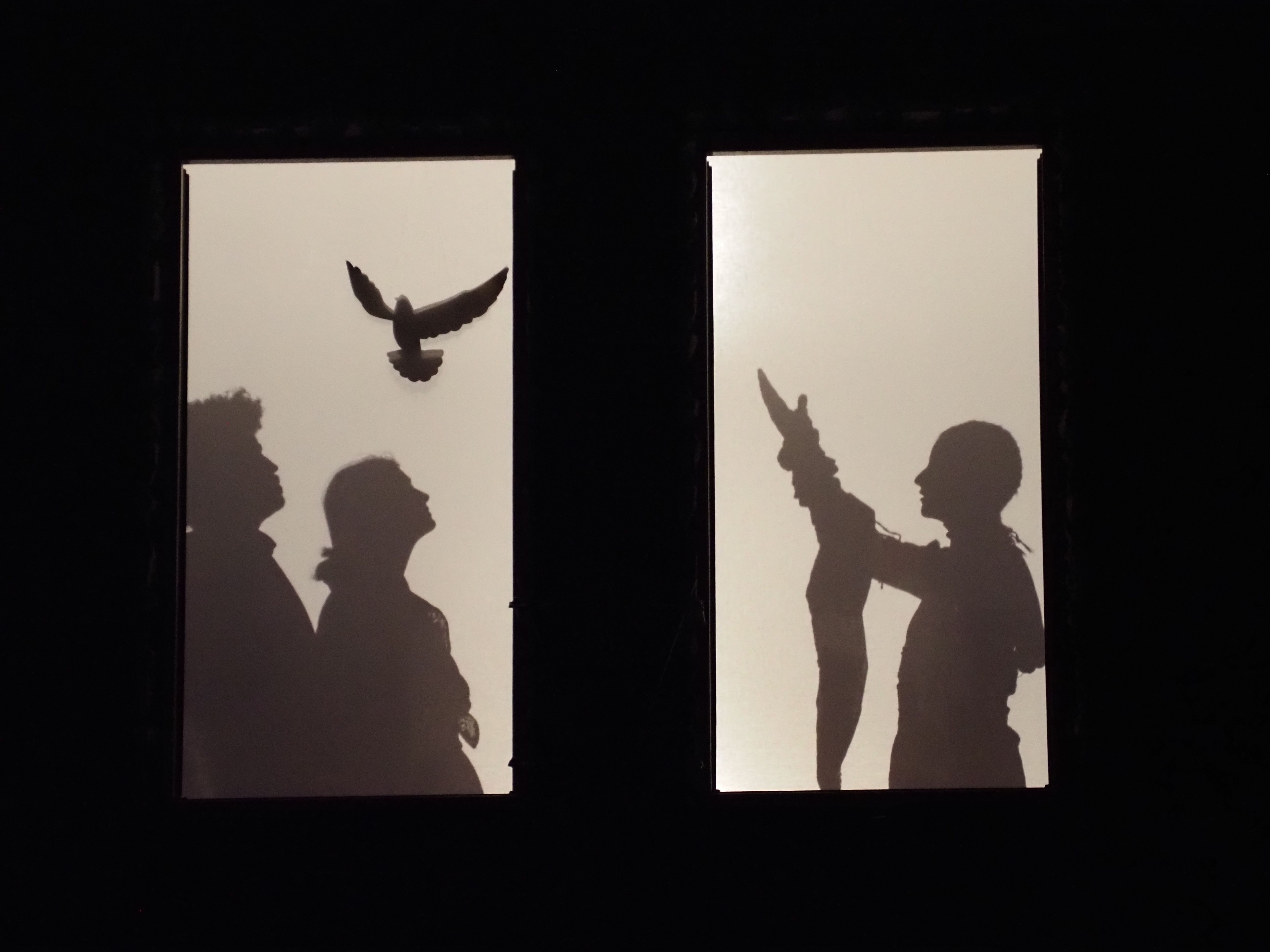 Un dels quadres fets amb ombres xineses. Un dels quadres fets amb ombres xineses.