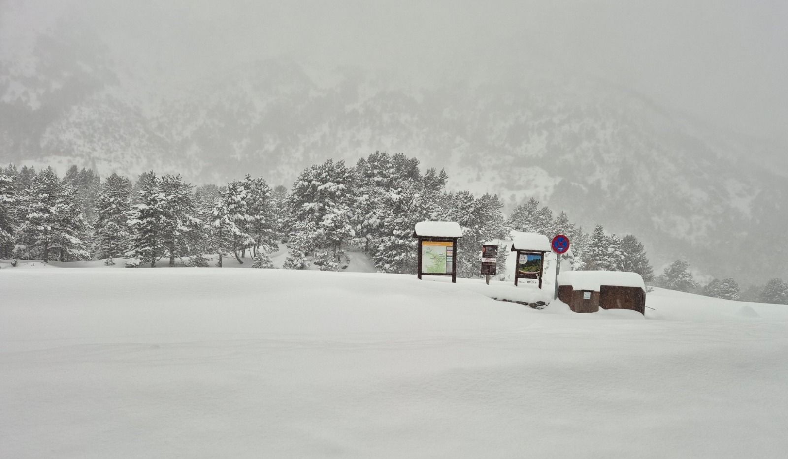 La nevada, a Encodina, molt a prop de la cruïlla de Sorteny, ahir dissabte al matí.