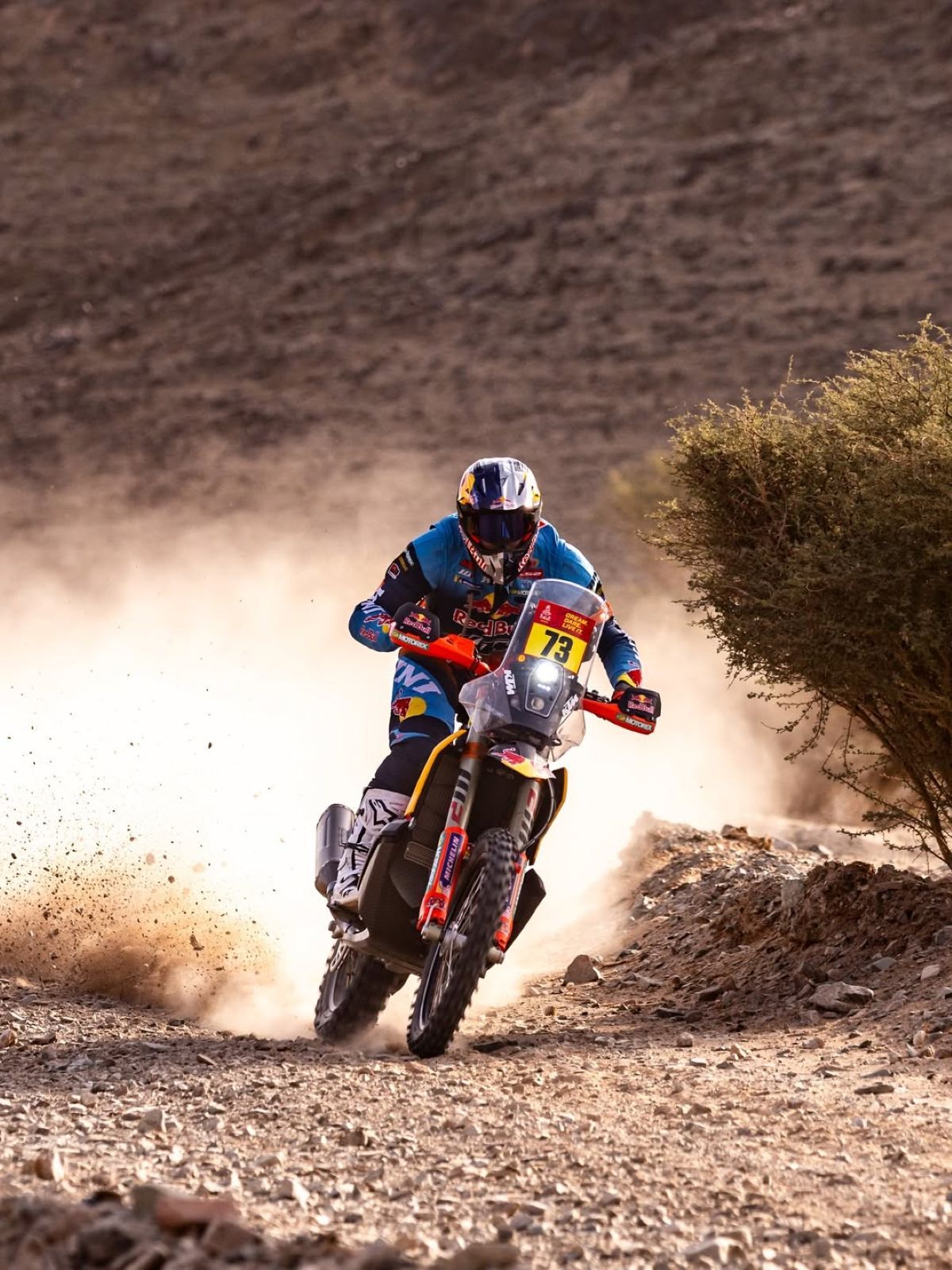 Edgar Canet, durant l'etapa d'avui al Dakar, de 876 quilòmetres.