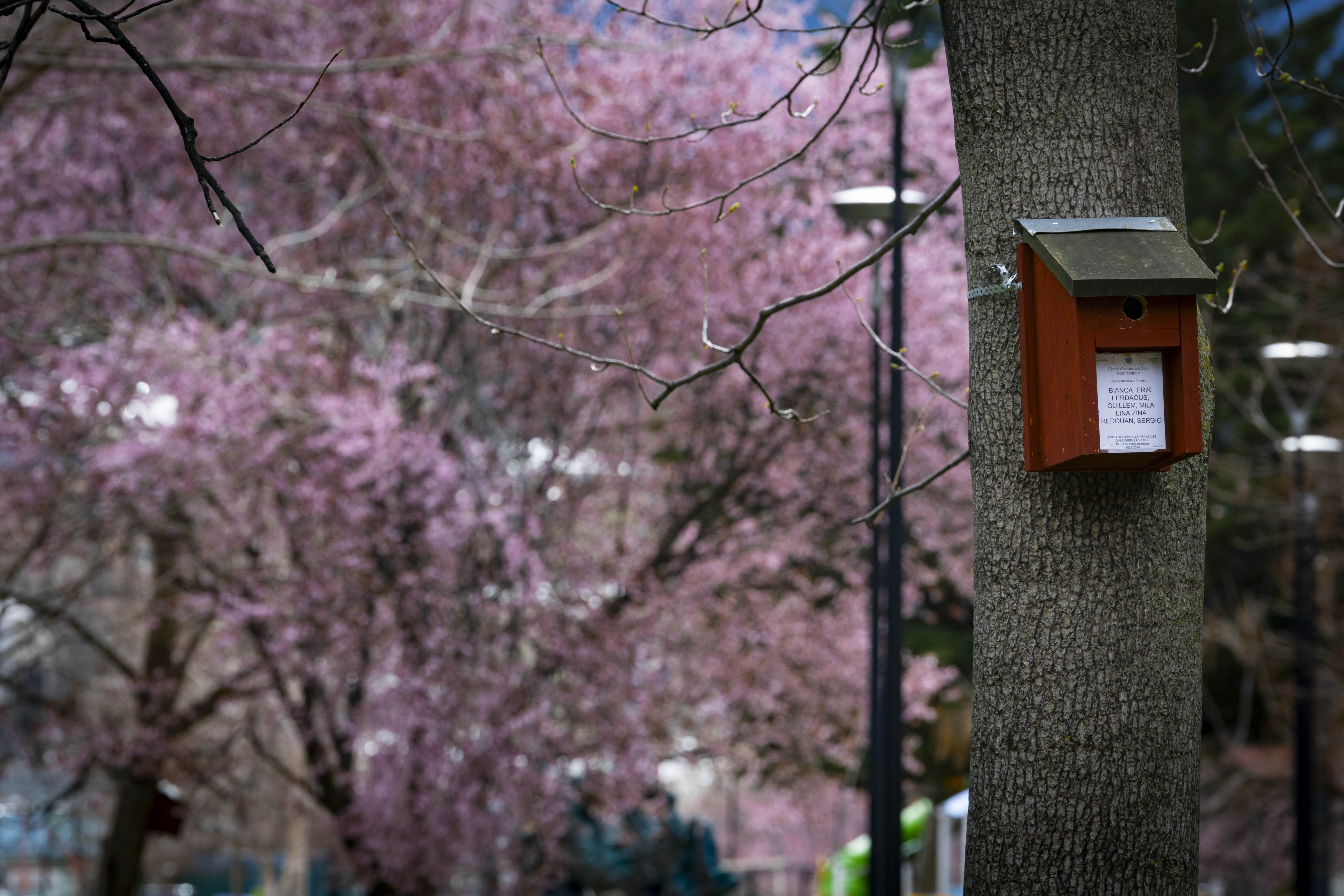 Una de les caixes-niu instal·lades pel comú d'Andorra la Vella.
