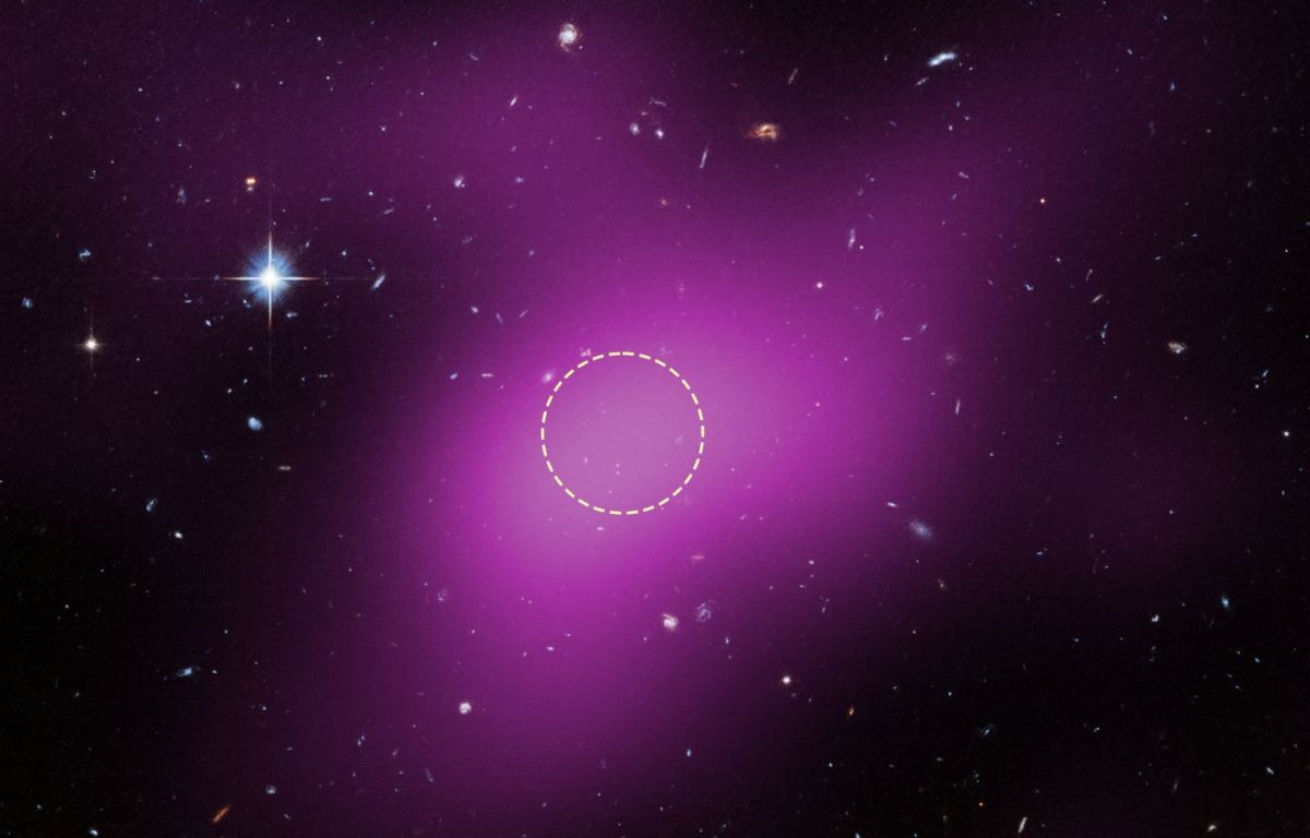 Article 45-3: Image obtinguda per la càmera ACS del Hubble de la zona del Cloud-9. En magenta superposada l'emissió radio obtinguda pel VLA. El cercle marca la zona on s'han buscat estels - Crèdit: NASA, ESA, VLA, Gagandeep Anand (STScI), Alejandro Benitez-Llambay (University of Milano-Bicocca); Image Processing: Joseph DePasquale (STScI)