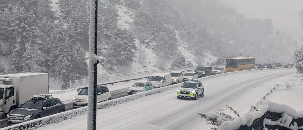 WhatsApp Image 2026 01 20 at 10.03.34