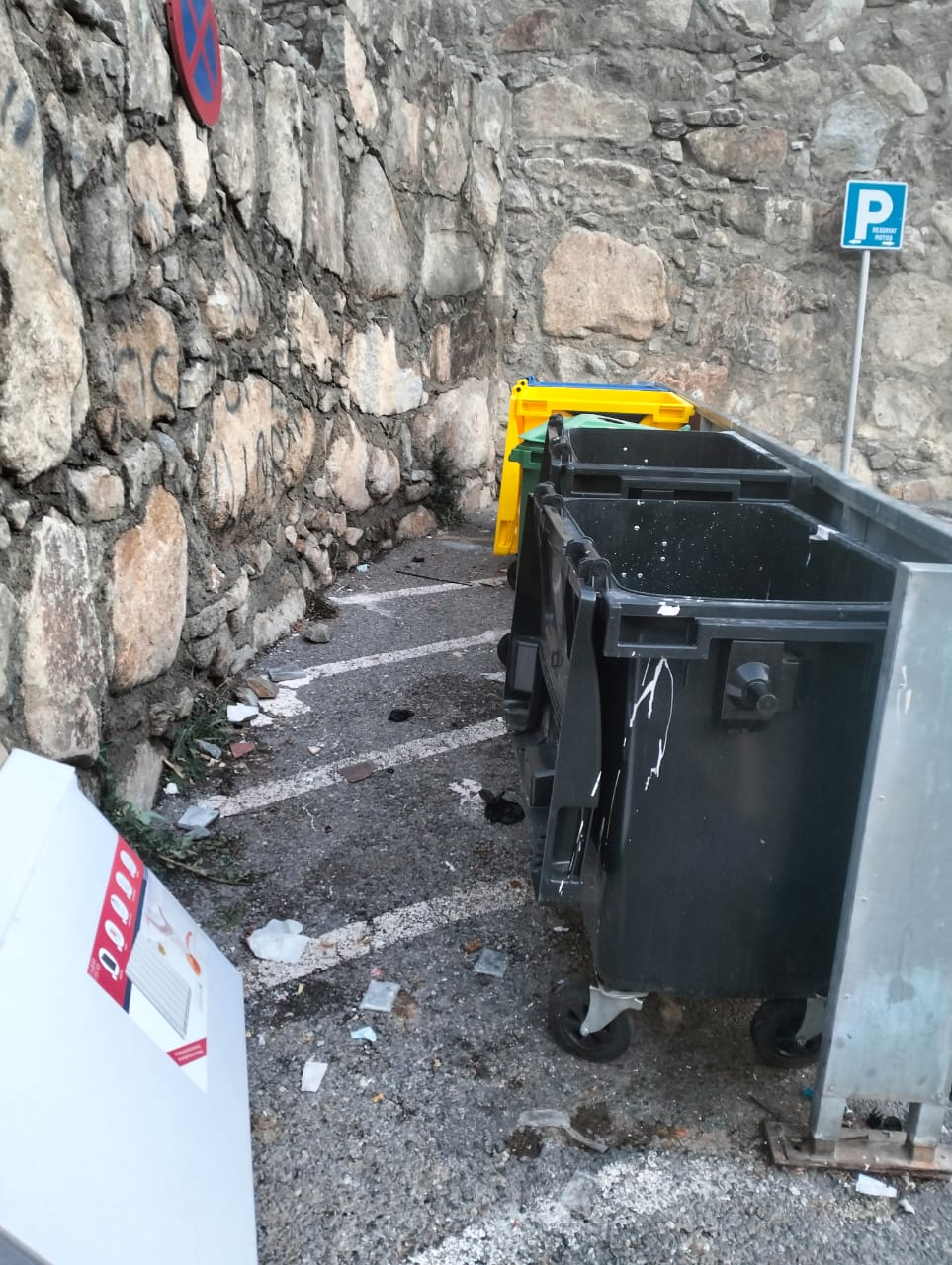 Estat que presenta espais públics en les immediacions del carrer de les Arribes.